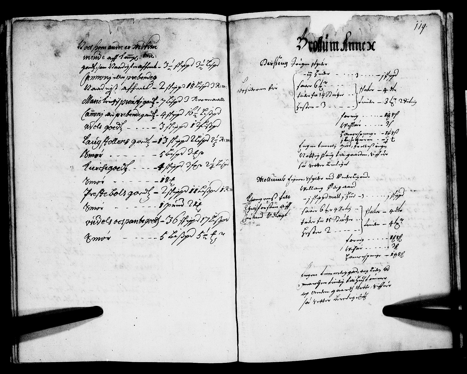 Rentekammeret inntil 1814, Realistisk ordnet avdeling, RA/EA-4070/N/Nb/Nba/L0012: Hedmark fogderi, 1. del, 1669, s. 118b-119a