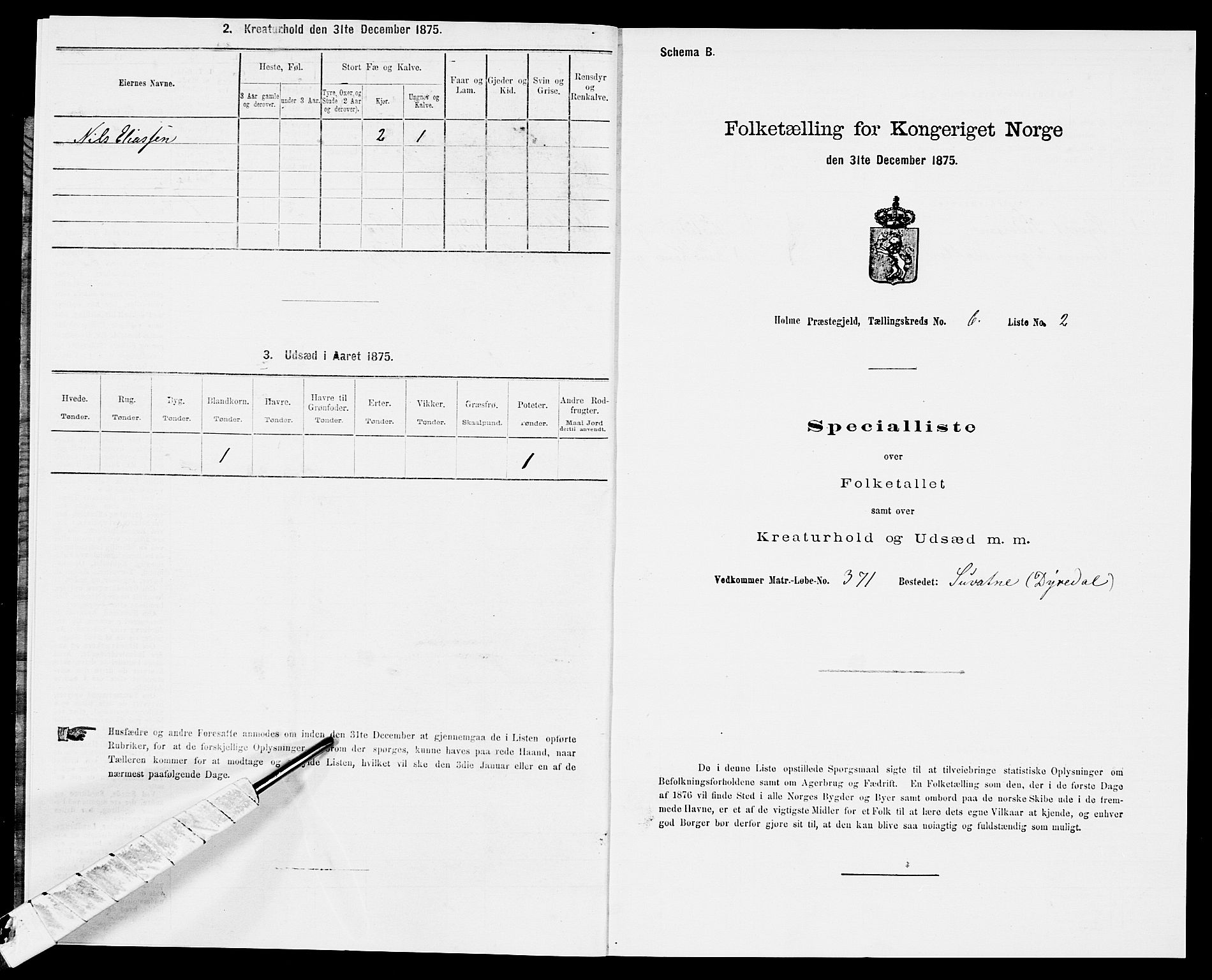 SAK, Folketelling 1875 for 1020P Holum prestegjeld, 1875, s. 575