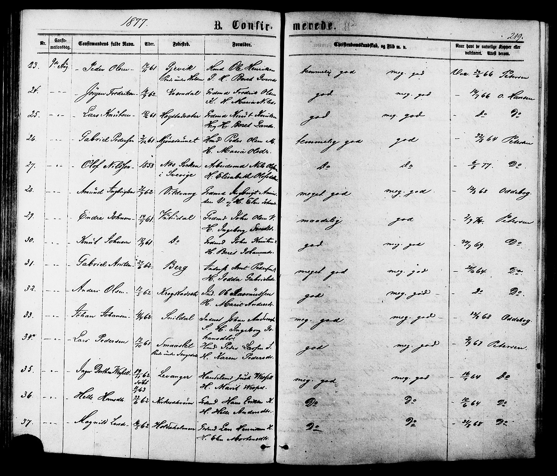 Ministerialprotokoller, klokkerbøker og fødselsregistre - Sør-Trøndelag, SAT/A-1456/630/L0495: Ministerialbok nr. 630A08, 1868-1878, s. 219