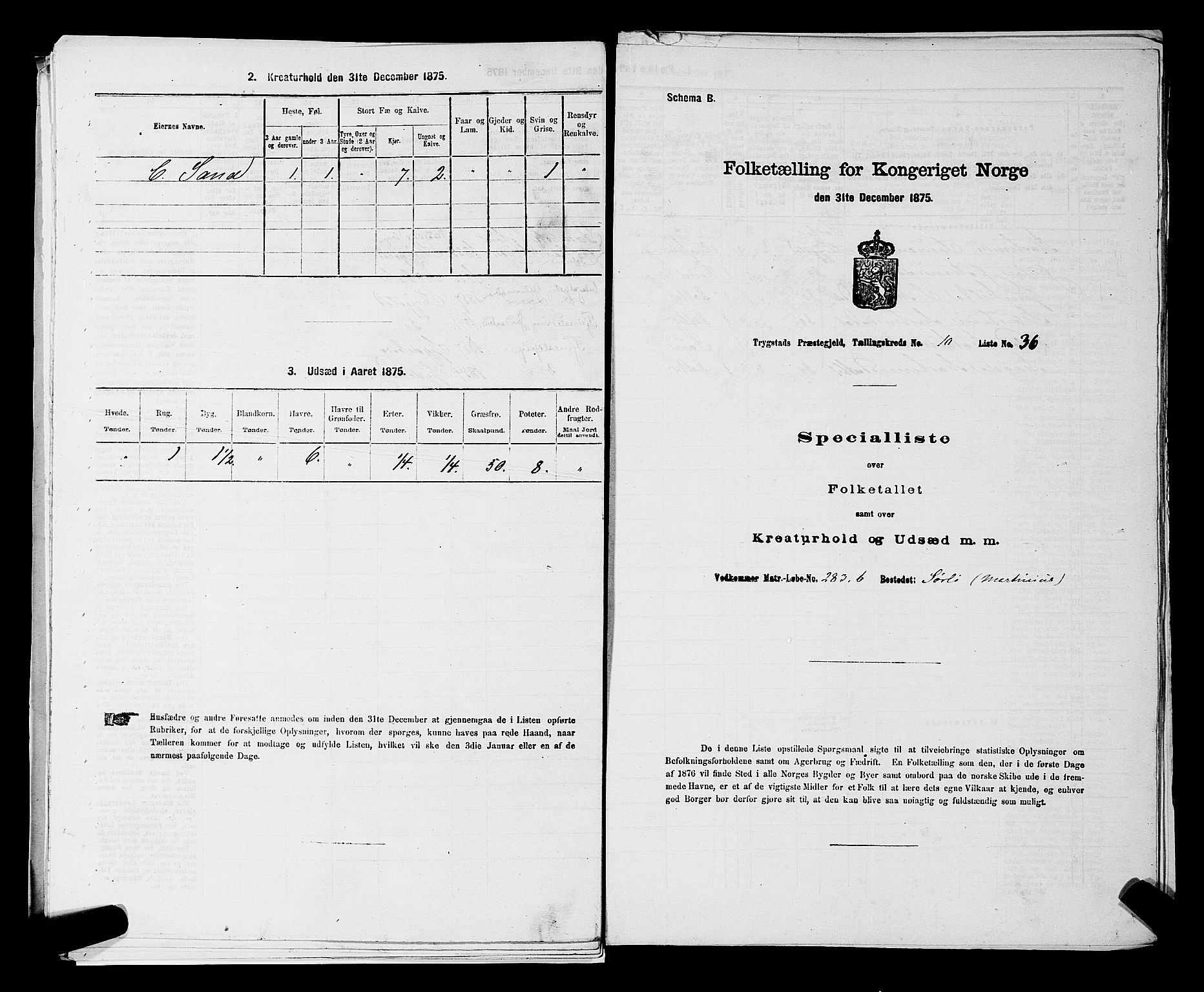 RA, Folketelling 1875 for 0122P Trøgstad prestegjeld, 1875, s. 1163