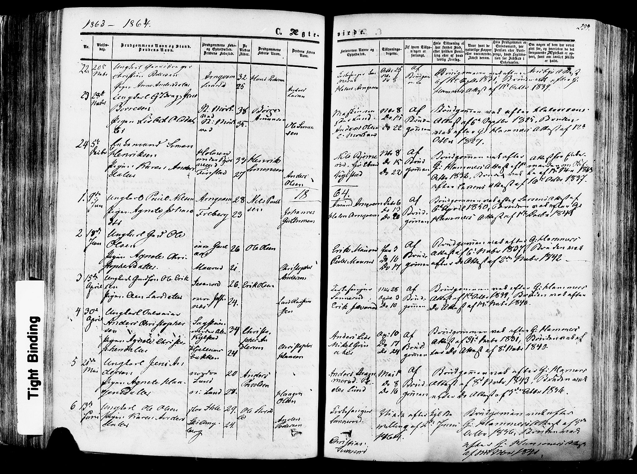 Vang prestekontor, Hedmark, AV/SAH-PREST-008/H/Ha/Haa/L0013: Ministerialbok nr. 13, 1855-1879, s. 239