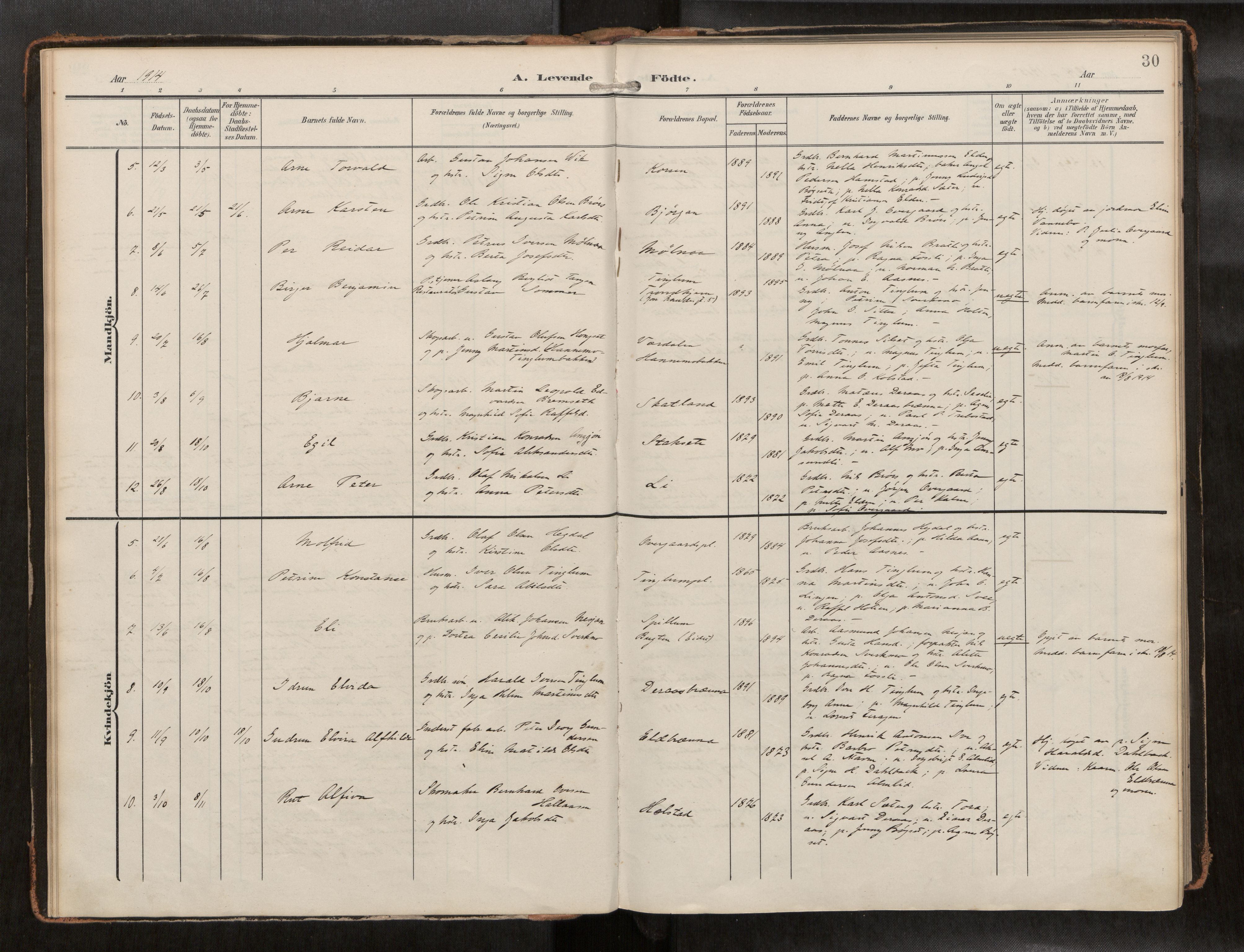 Ministerialprotokoller, klokkerbøker og fødselsregistre - Nord-Trøndelag, AV/SAT-A-1458/742/L0409a: Ministerialbok nr. 742A03, 1906-1924, s. 30