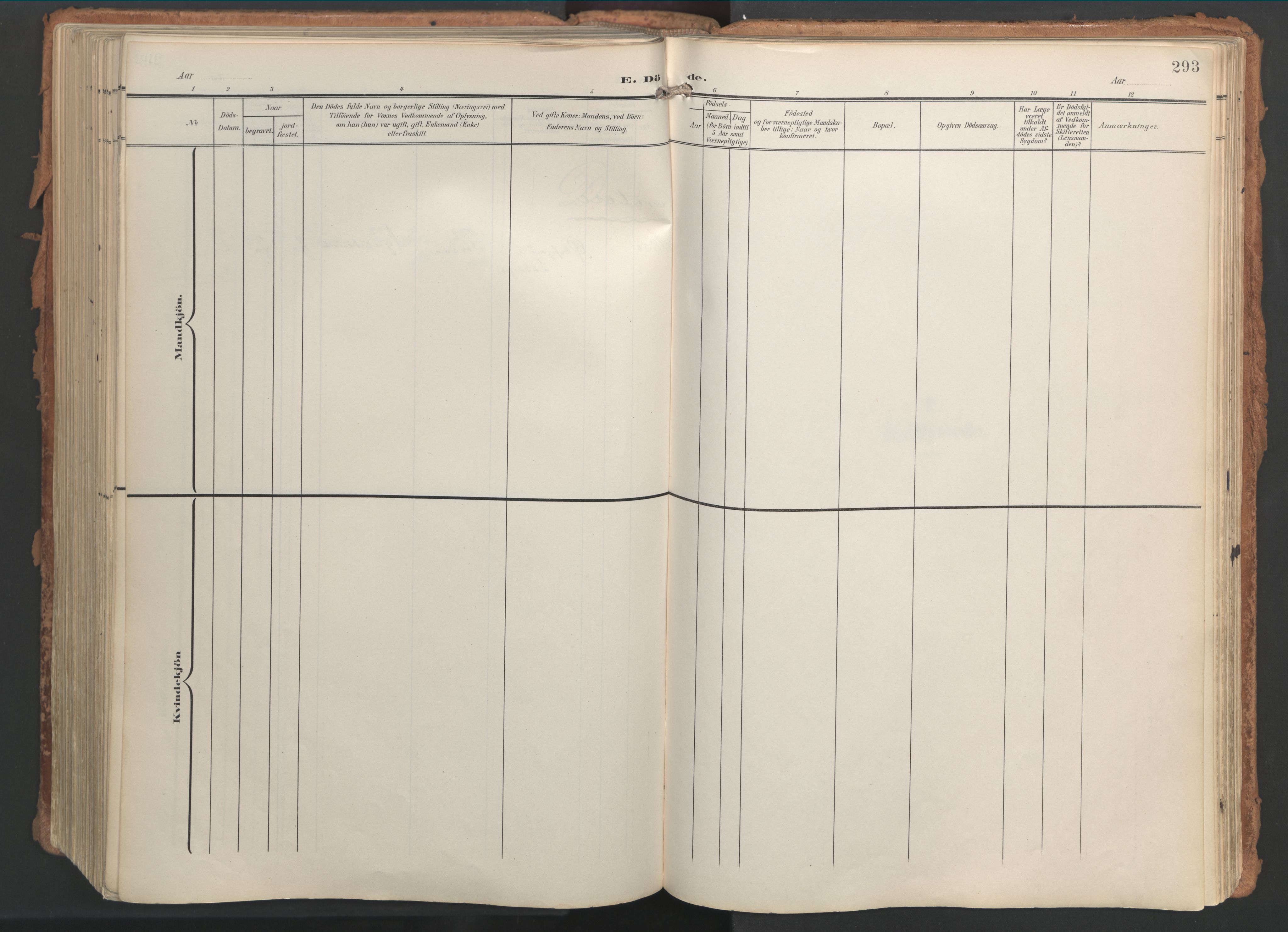 Ministerialprotokoller, klokkerbøker og fødselsregistre - Nordland, AV/SAT-A-1459/861/L0871: Ministerialbok nr. 861A06, 1903-1916, s. 293