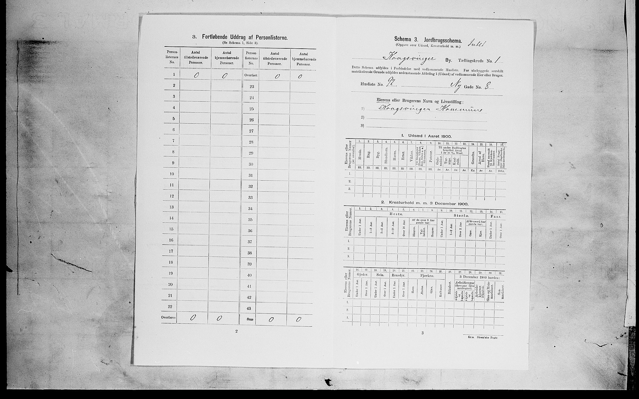 SAH, Folketelling 1900 for 0402 Kongsvinger kjøpstad, 1900, s. 19