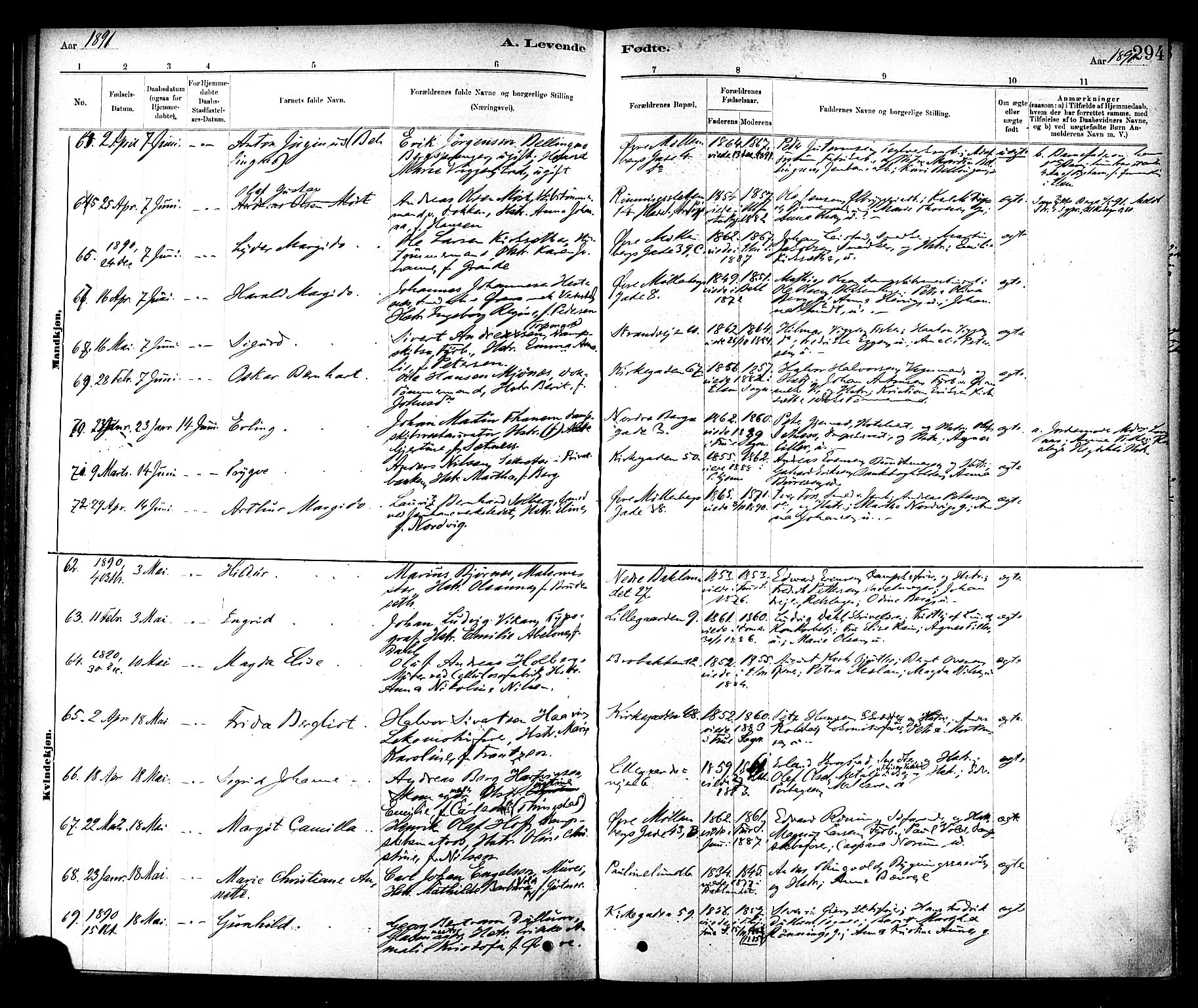 Ministerialprotokoller, klokkerbøker og fødselsregistre - Sør-Trøndelag, SAT/A-1456/604/L0188: Ministerialbok nr. 604A09, 1878-1892, s. 294