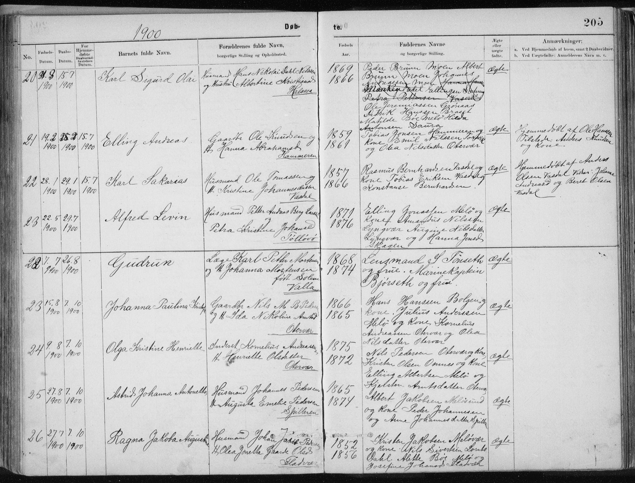 Ministerialprotokoller, klokkerbøker og fødselsregistre - Nordland, AV/SAT-A-1459/843/L0636: Klokkerbok nr. 843C05, 1884-1909, s. 205
