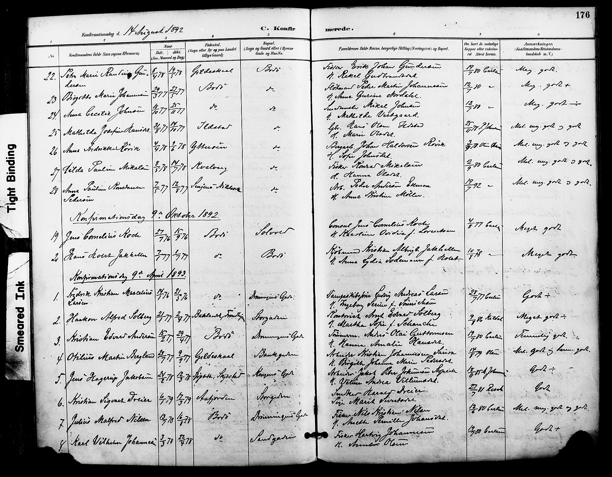 Ministerialprotokoller, klokkerbøker og fødselsregistre - Nordland, AV/SAT-A-1459/801/L0010: Ministerialbok nr. 801A10, 1888-1899, s. 176