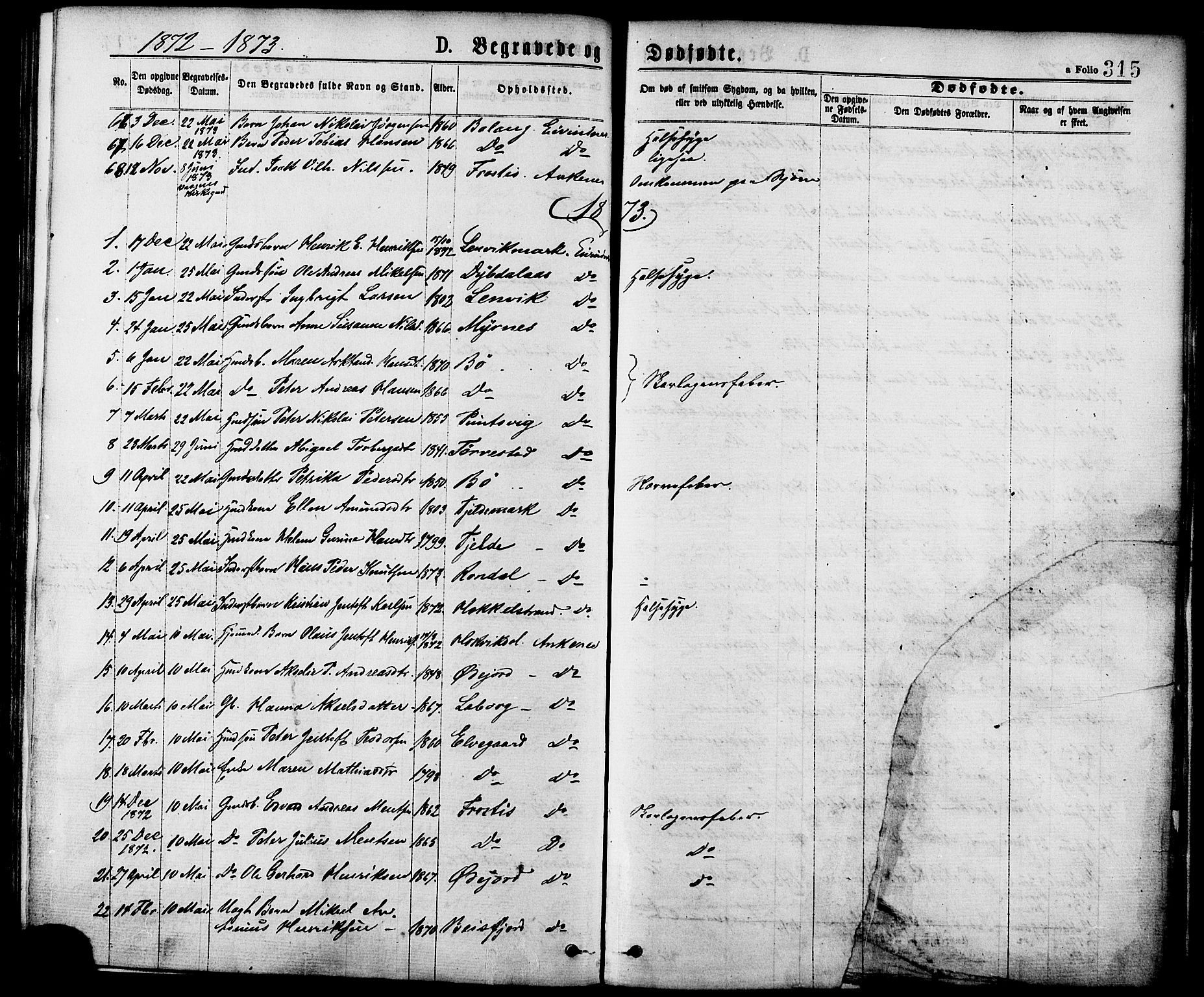 Ministerialprotokoller, klokkerbøker og fødselsregistre - Nordland, AV/SAT-A-1459/863/L0897: Ministerialbok nr. 863A09, 1872-1886, s. 315
