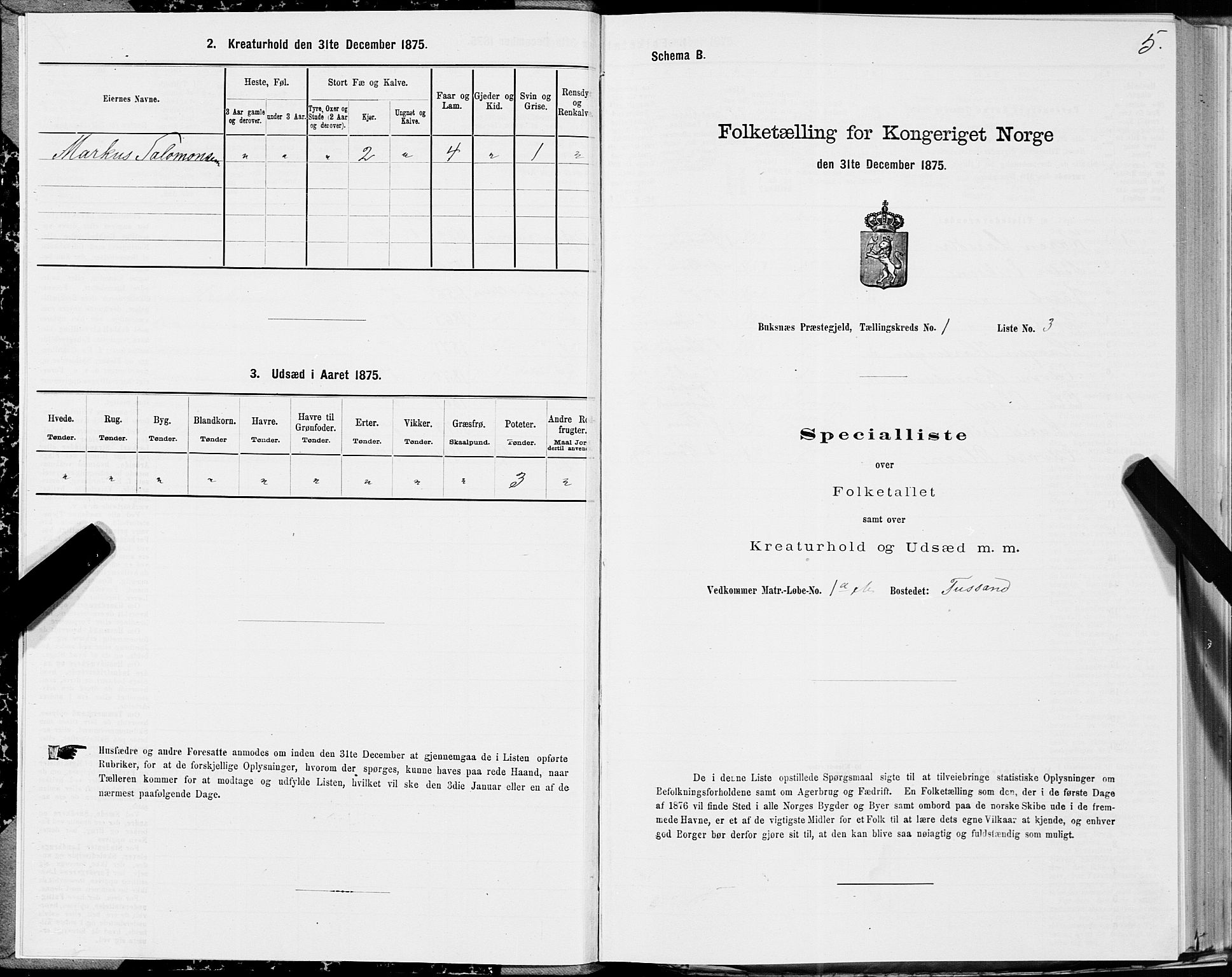 SAT, Folketelling 1875 for 1860P Buksnes prestegjeld, 1875, s. 1005