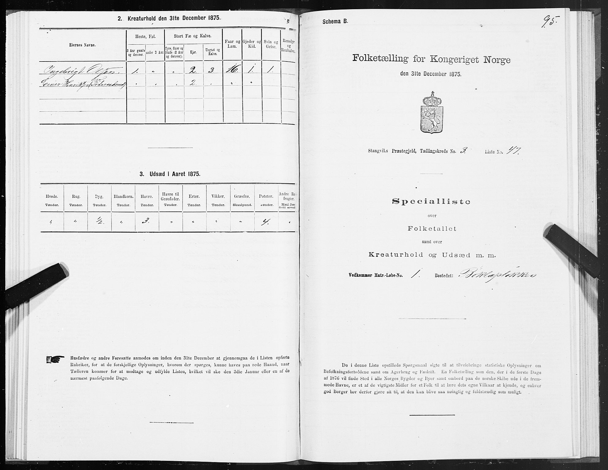 SAT, Folketelling 1875 for 1564P Stangvik prestegjeld, 1875, s. 2095