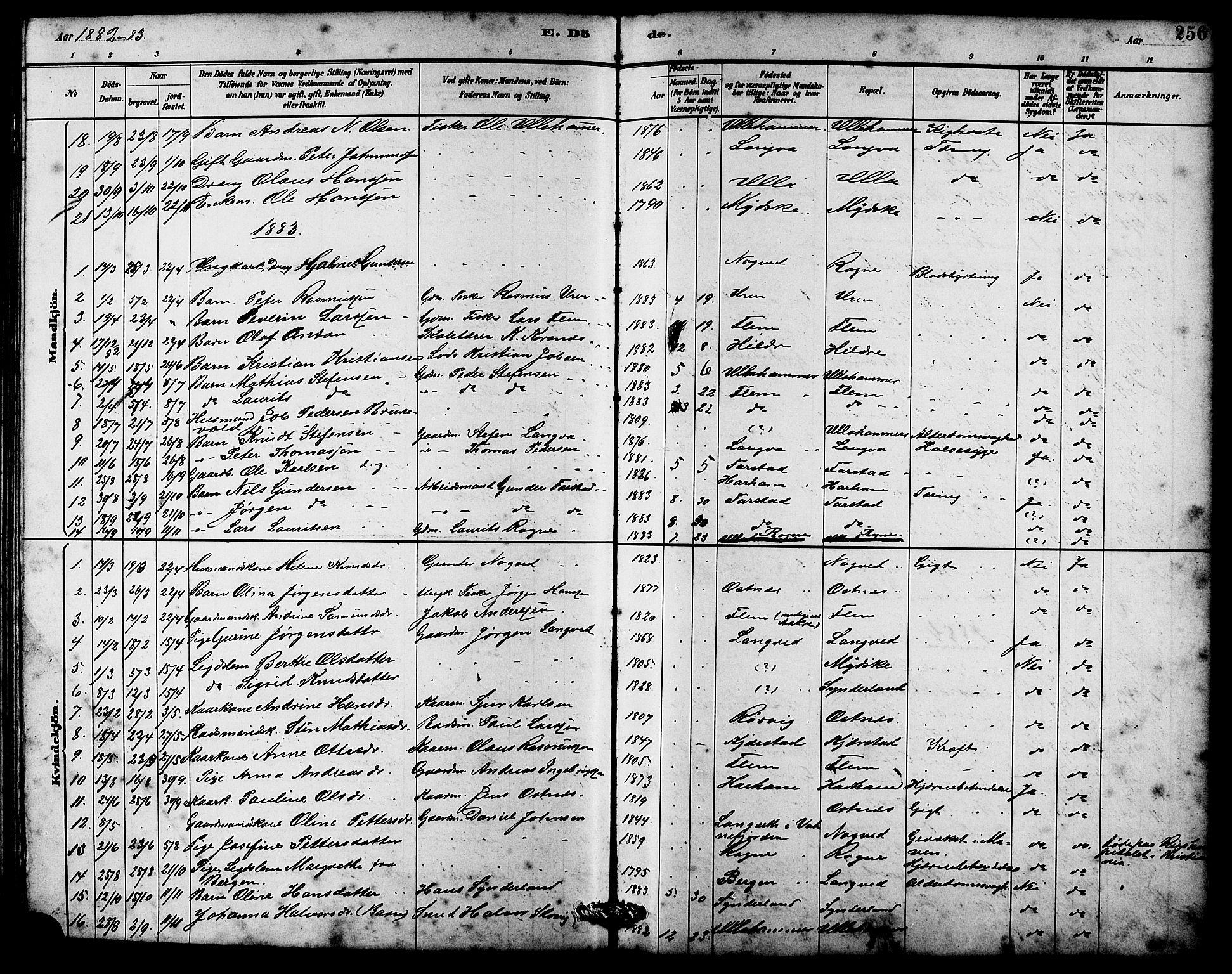 Ministerialprotokoller, klokkerbøker og fødselsregistre - Møre og Romsdal, AV/SAT-A-1454/536/L0510: Klokkerbok nr. 536C05, 1881-1898, s. 256