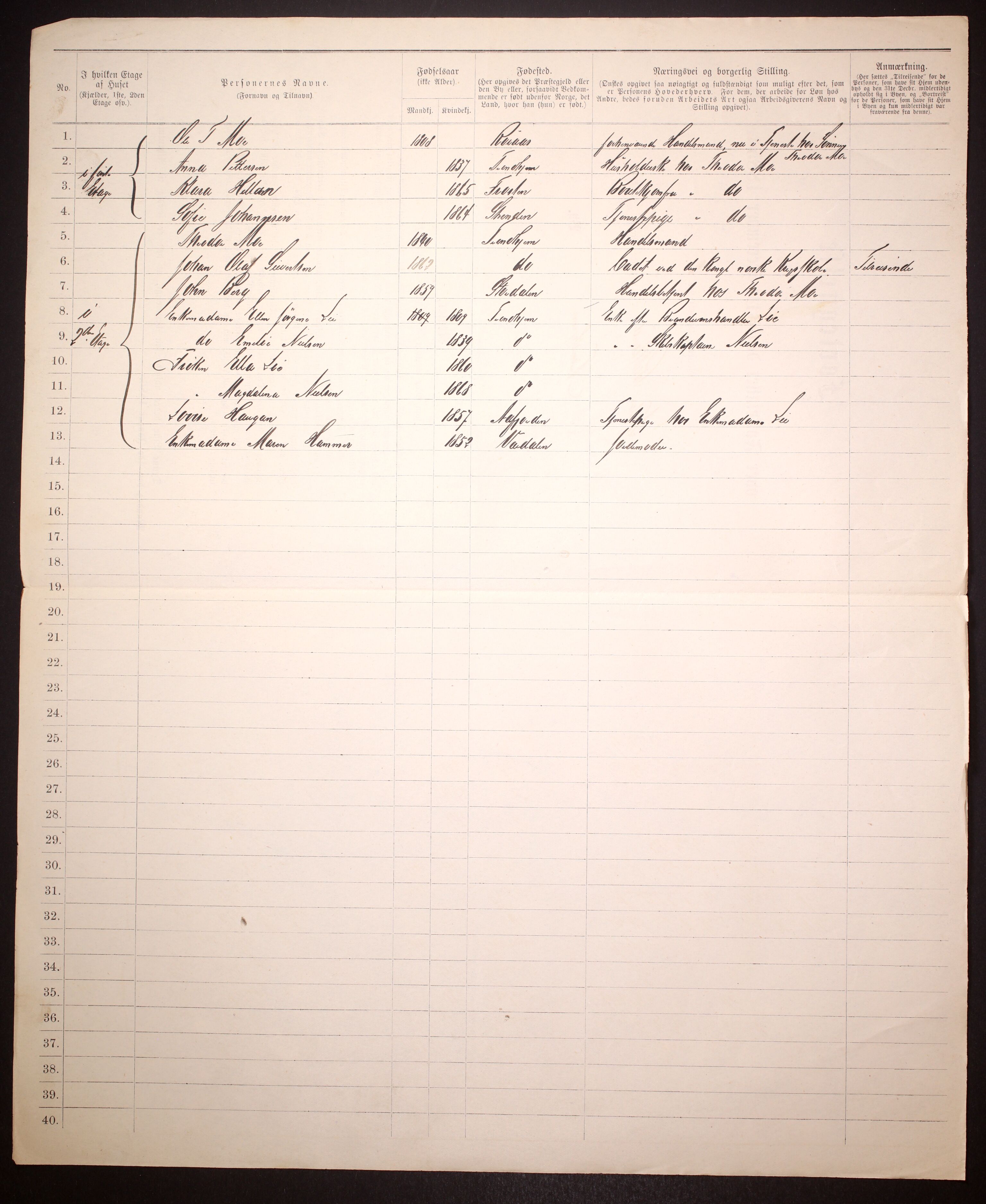 SAT, Folketelling 1885 for 1601 Trondheim kjøpstad, 1885, s. 2895
