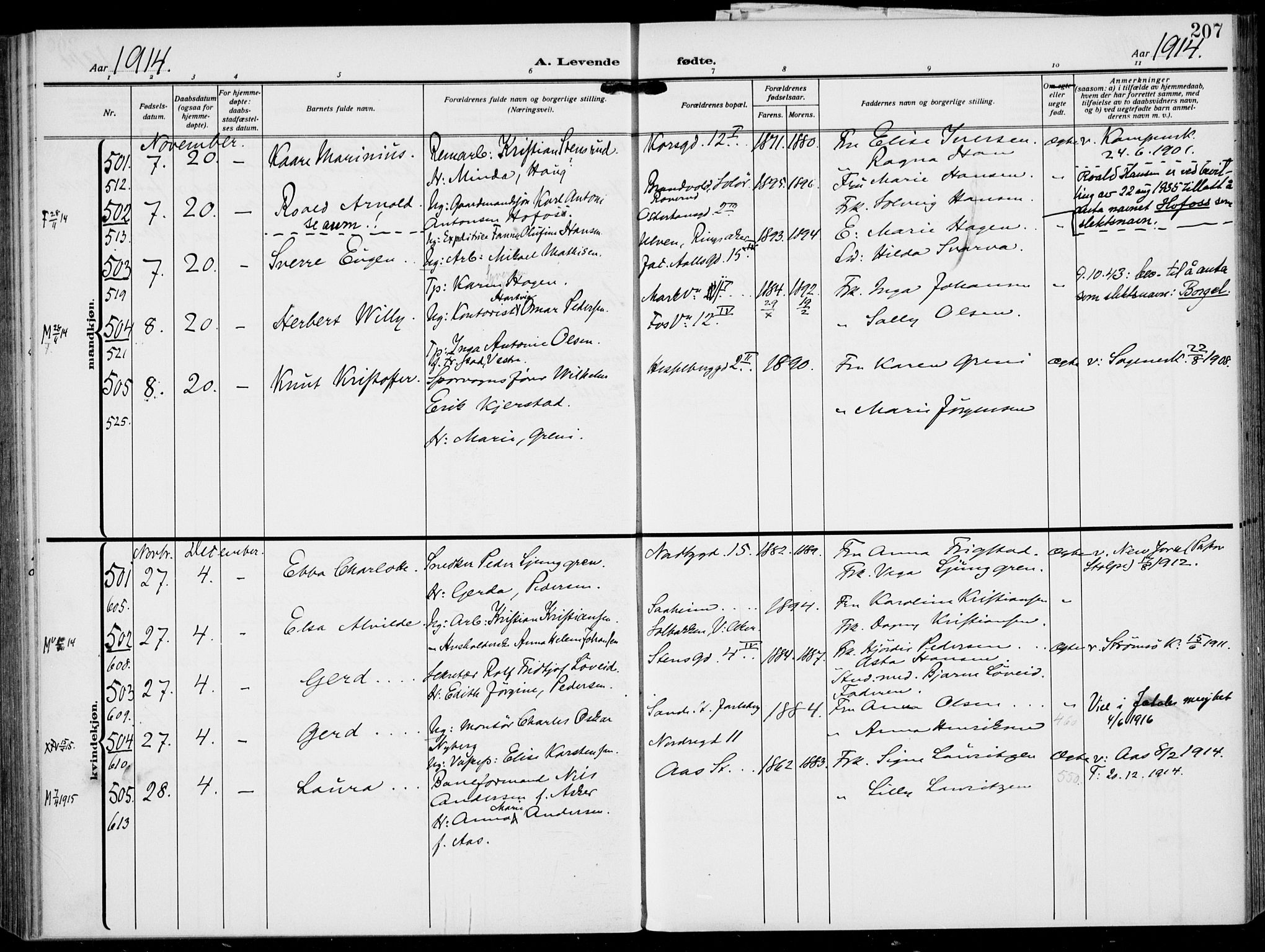 Rikshospitalet prestekontor Kirkebøker, AV/SAO-A-10309b/F/L0015: Ministerialbok nr. 15, 1913-1915, s. 207