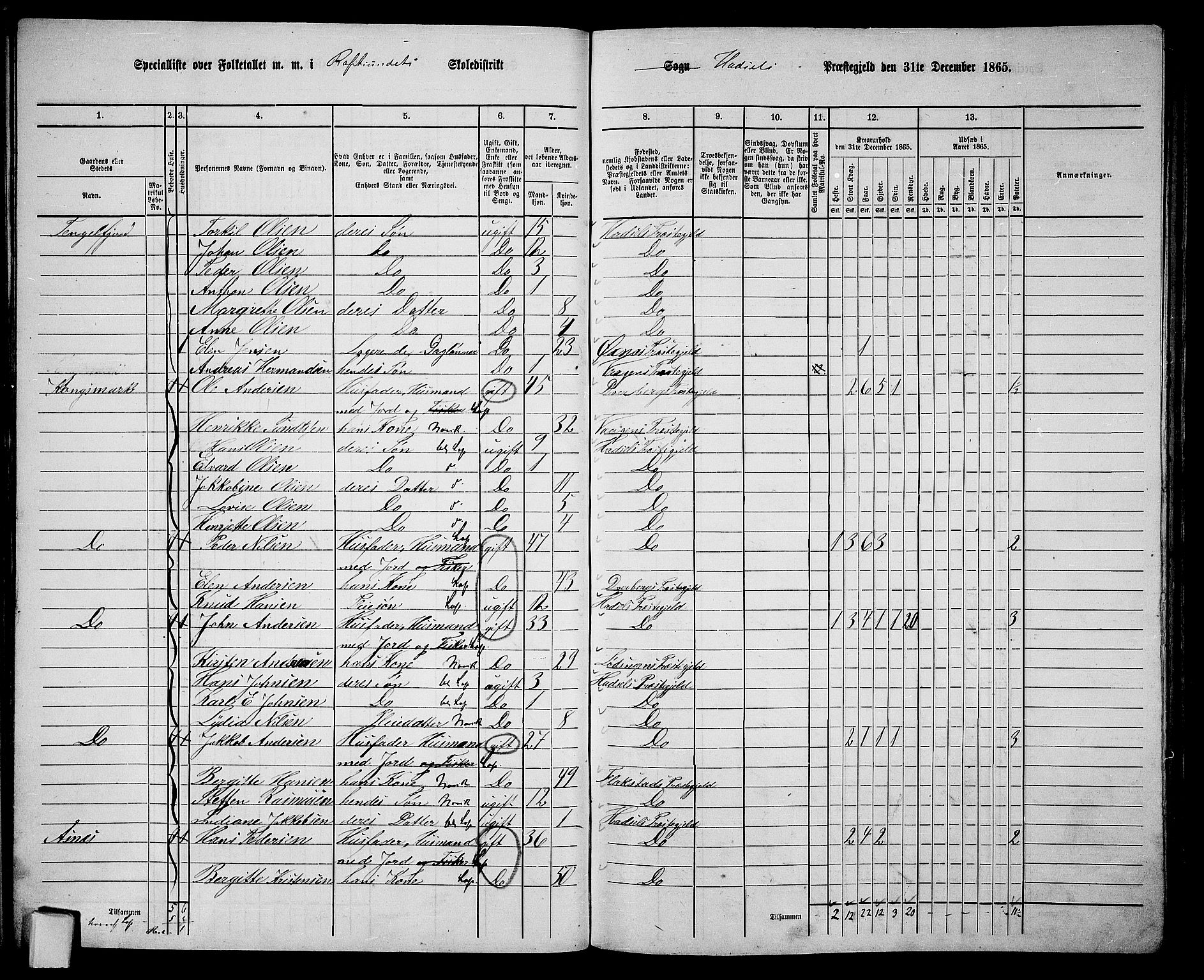 RA, Folketelling 1865 for 1866P Hadsel prestegjeld, 1865, s. 47
