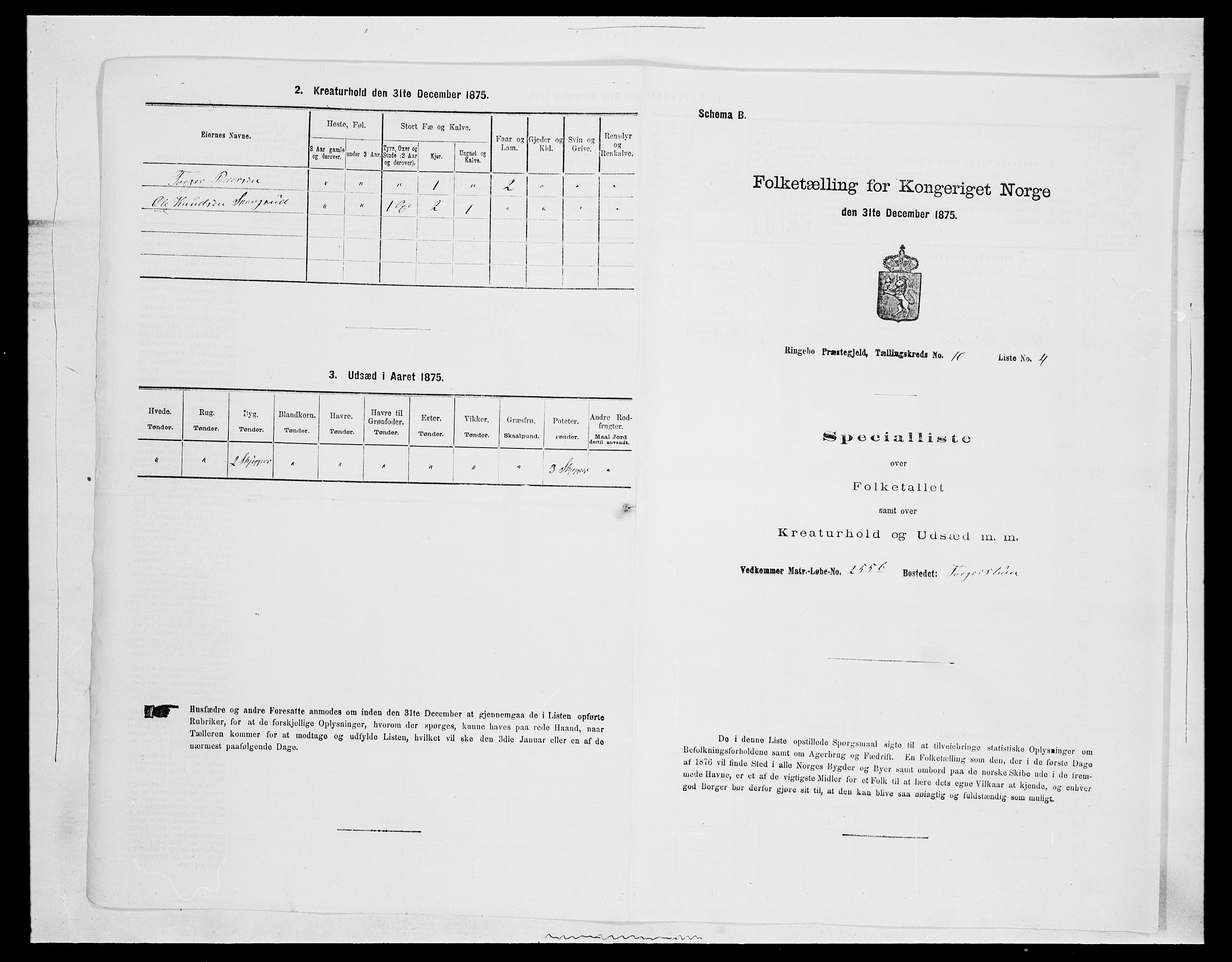 SAH, Folketelling 1875 for 0520P Ringebu prestegjeld, 1875, s. 1496