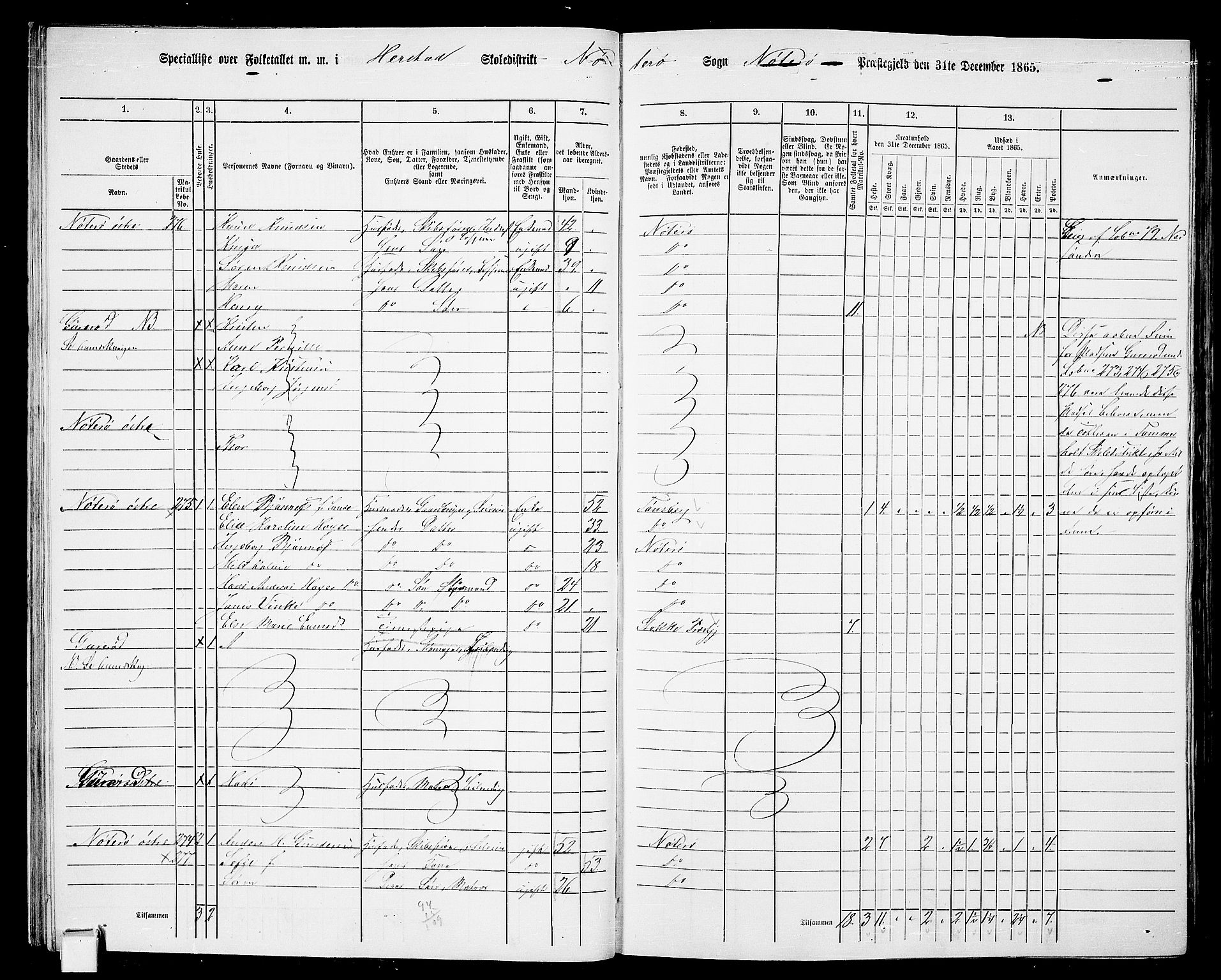 RA, Folketelling 1865 for 0722P Nøtterøy prestegjeld, 1865, s. 30