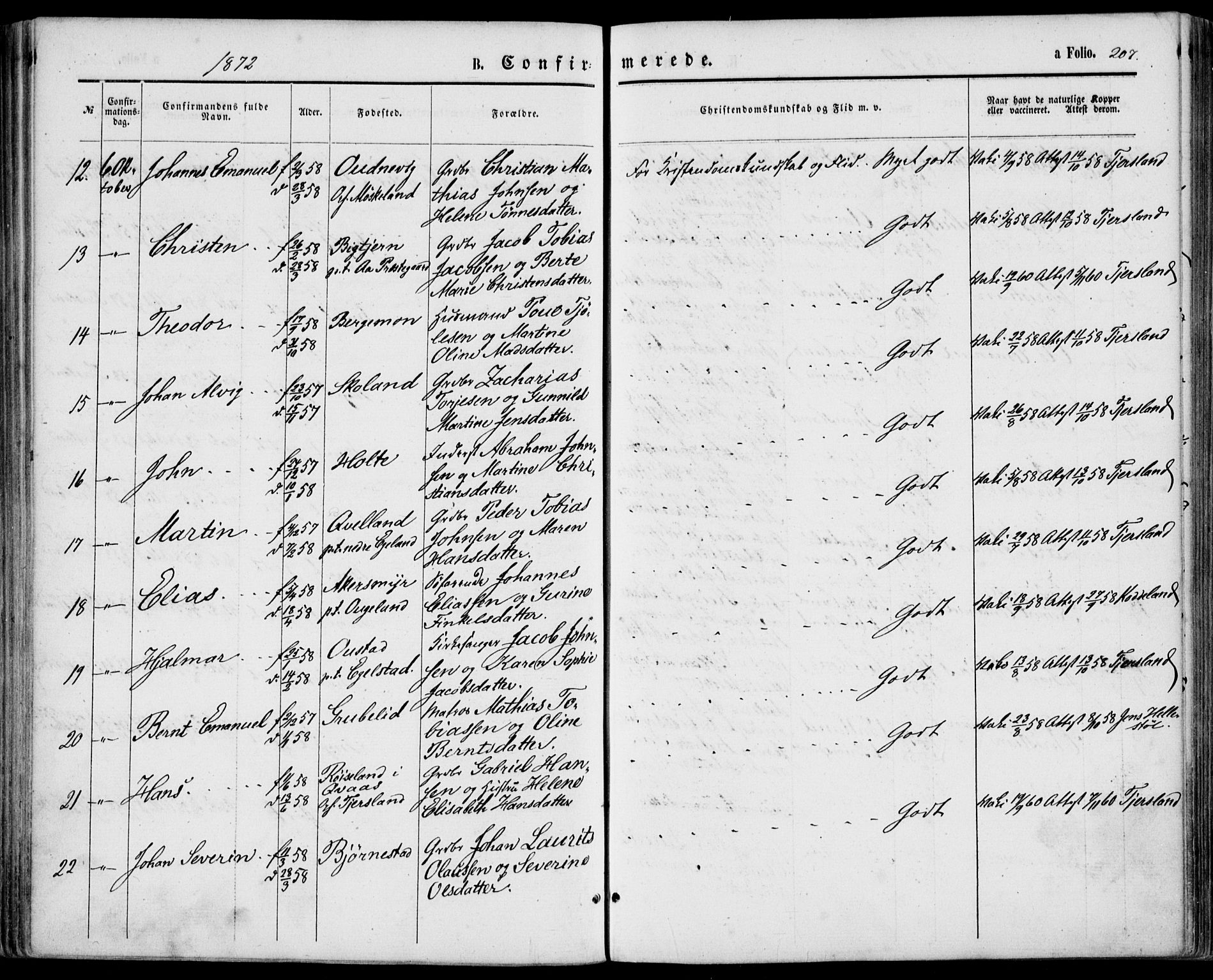 Lyngdal sokneprestkontor, AV/SAK-1111-0029/F/Fa/Fac/L0010: Ministerialbok nr. A 10, 1865-1878, s. 207