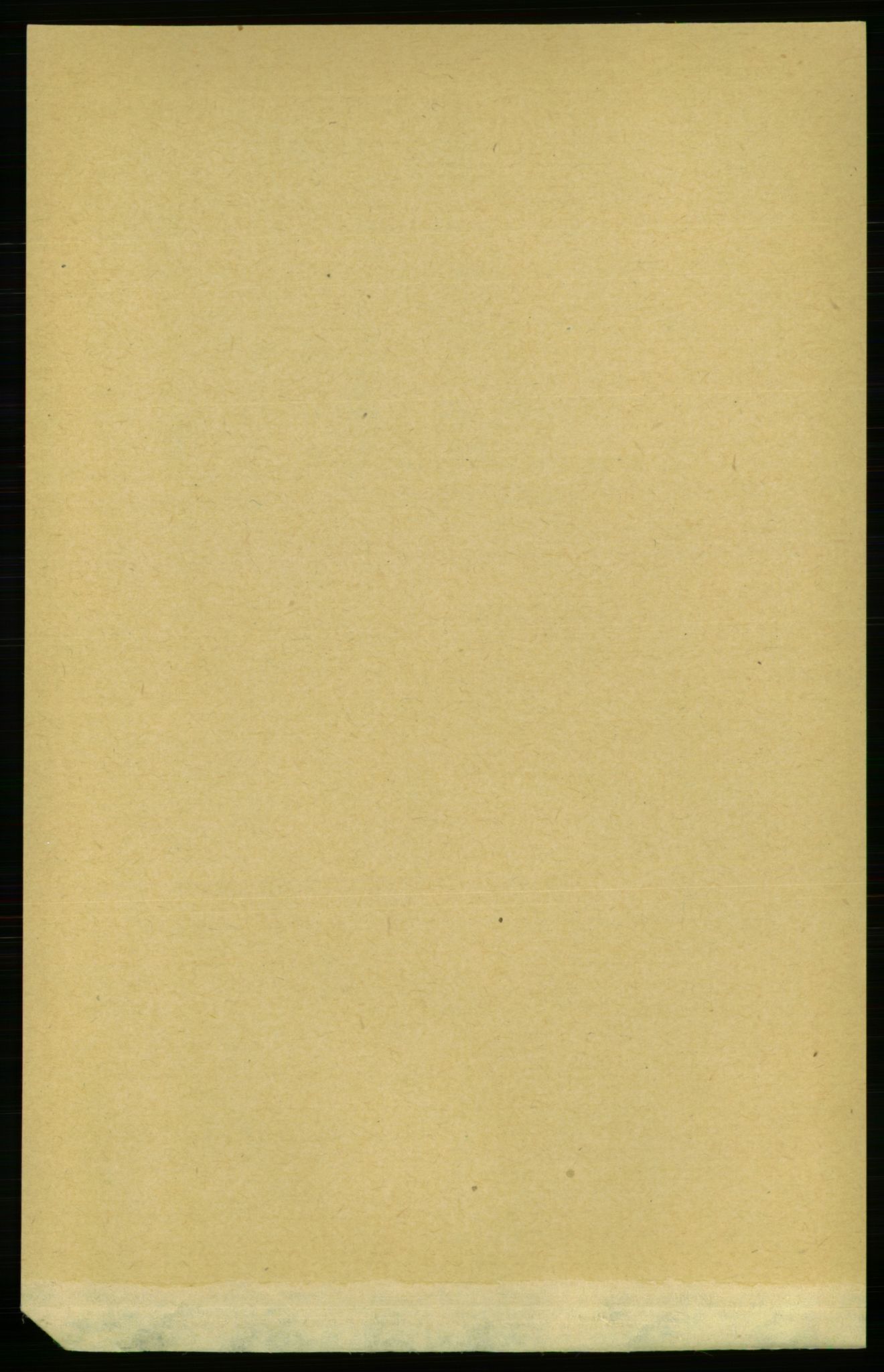 RA, Folketelling 1891 for 1640 Røros herred, 1891, s. 1019