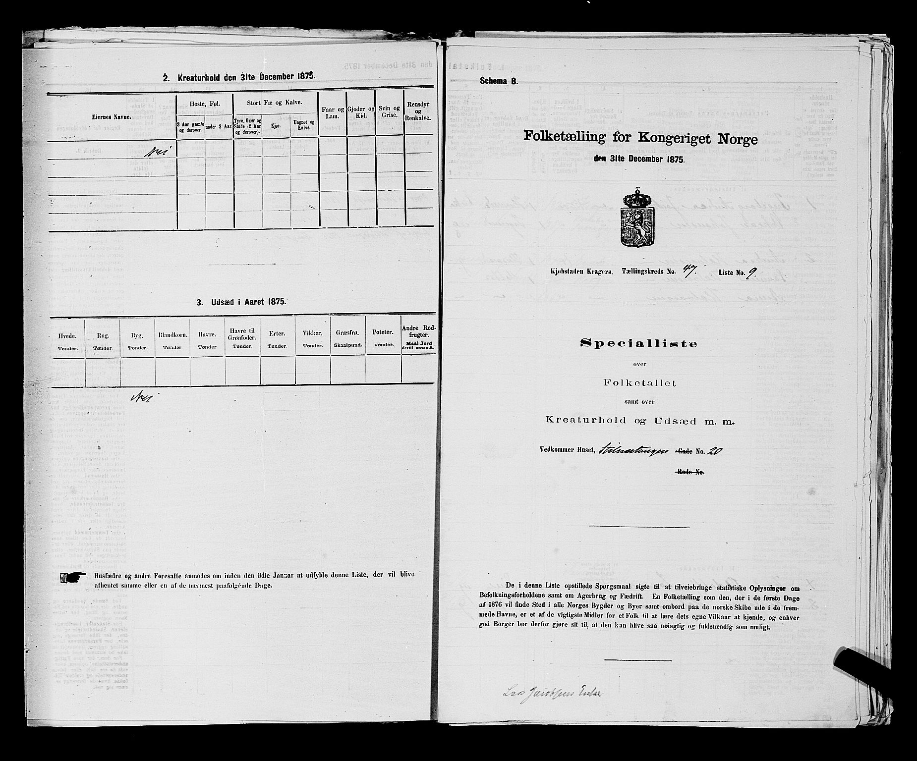 SAKO, Folketelling 1875 for 0801P Kragerø prestegjeld, 1875, s. 1052