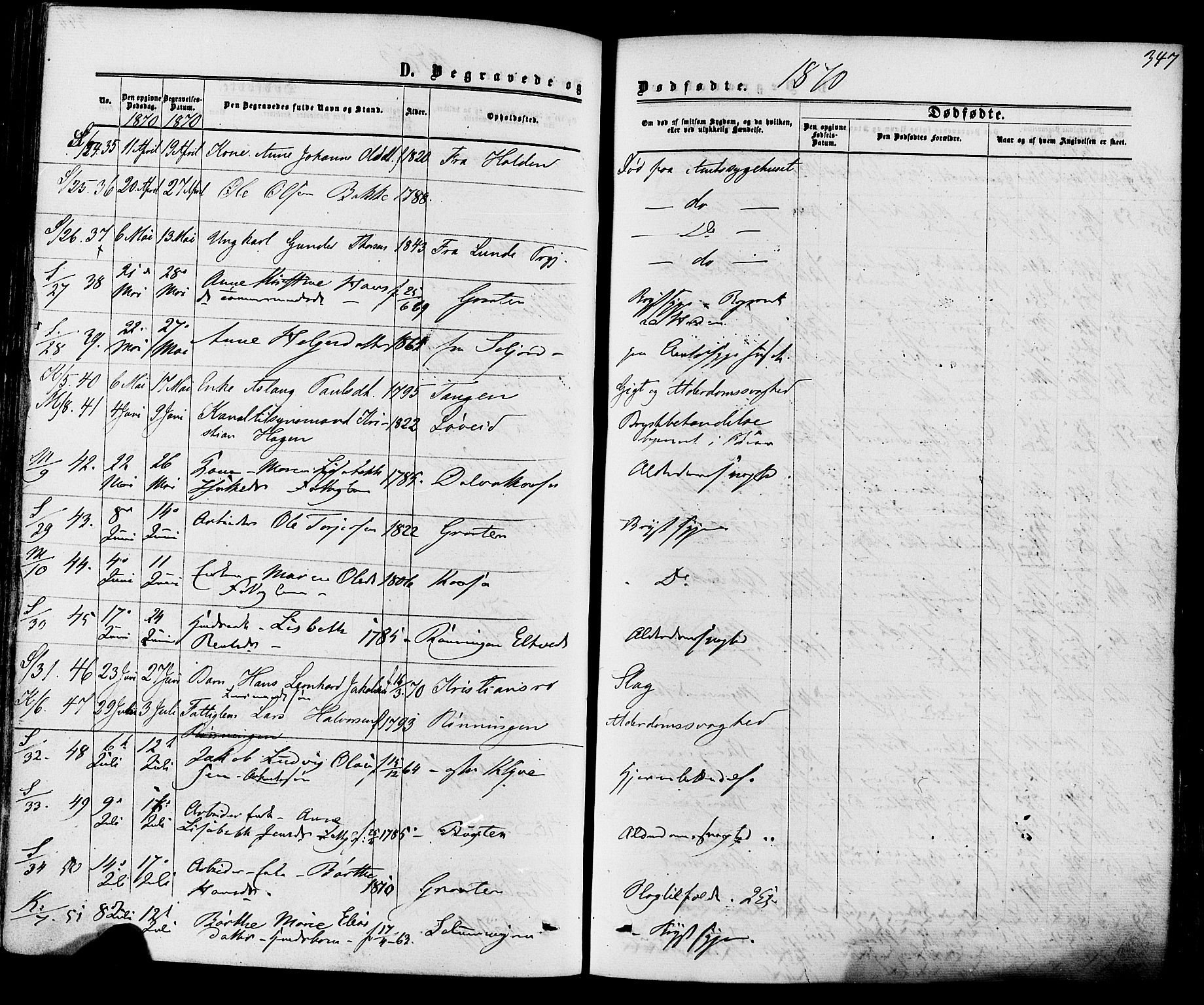 Solum kirkebøker, AV/SAKO-A-306/F/Fa/L0008: Ministerialbok nr. I 8, 1865-1876, s. 347