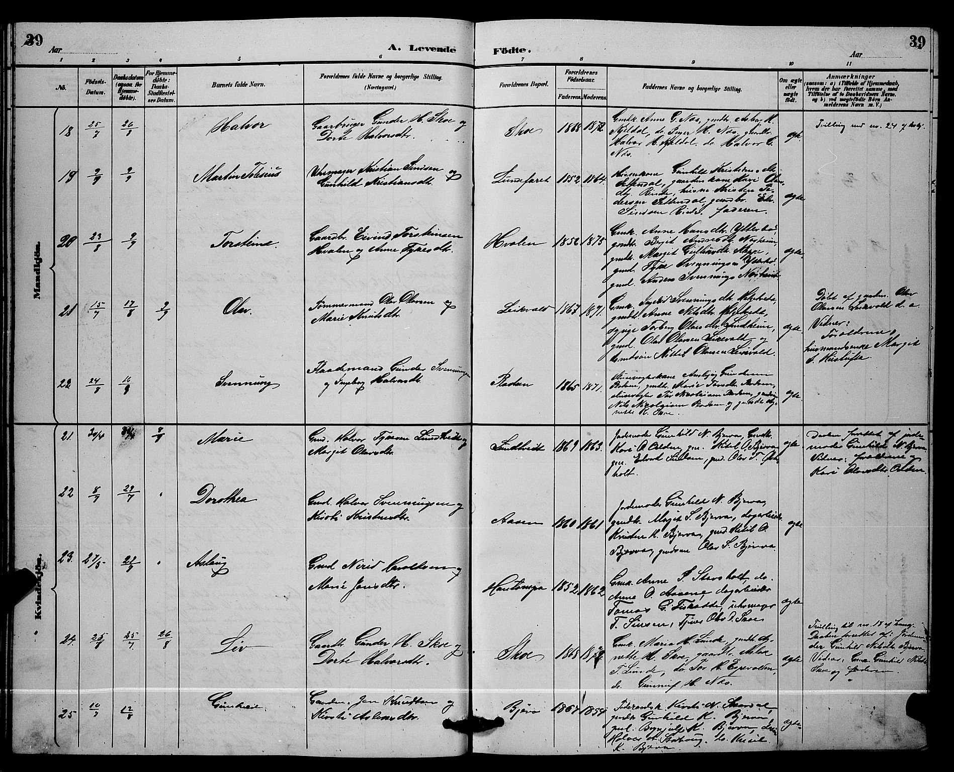 Lunde kirkebøker, AV/SAKO-A-282/G/Ga/L0002: Klokkerbok nr. I 2, 1887-1896, s. 39