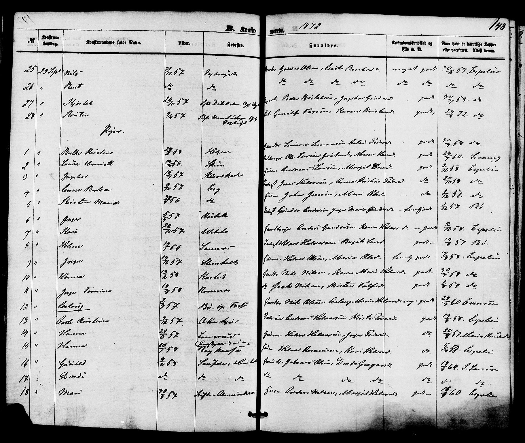 Holla kirkebøker, AV/SAKO-A-272/F/Fa/L0007: Ministerialbok nr. 7, 1869-1881, s. 143