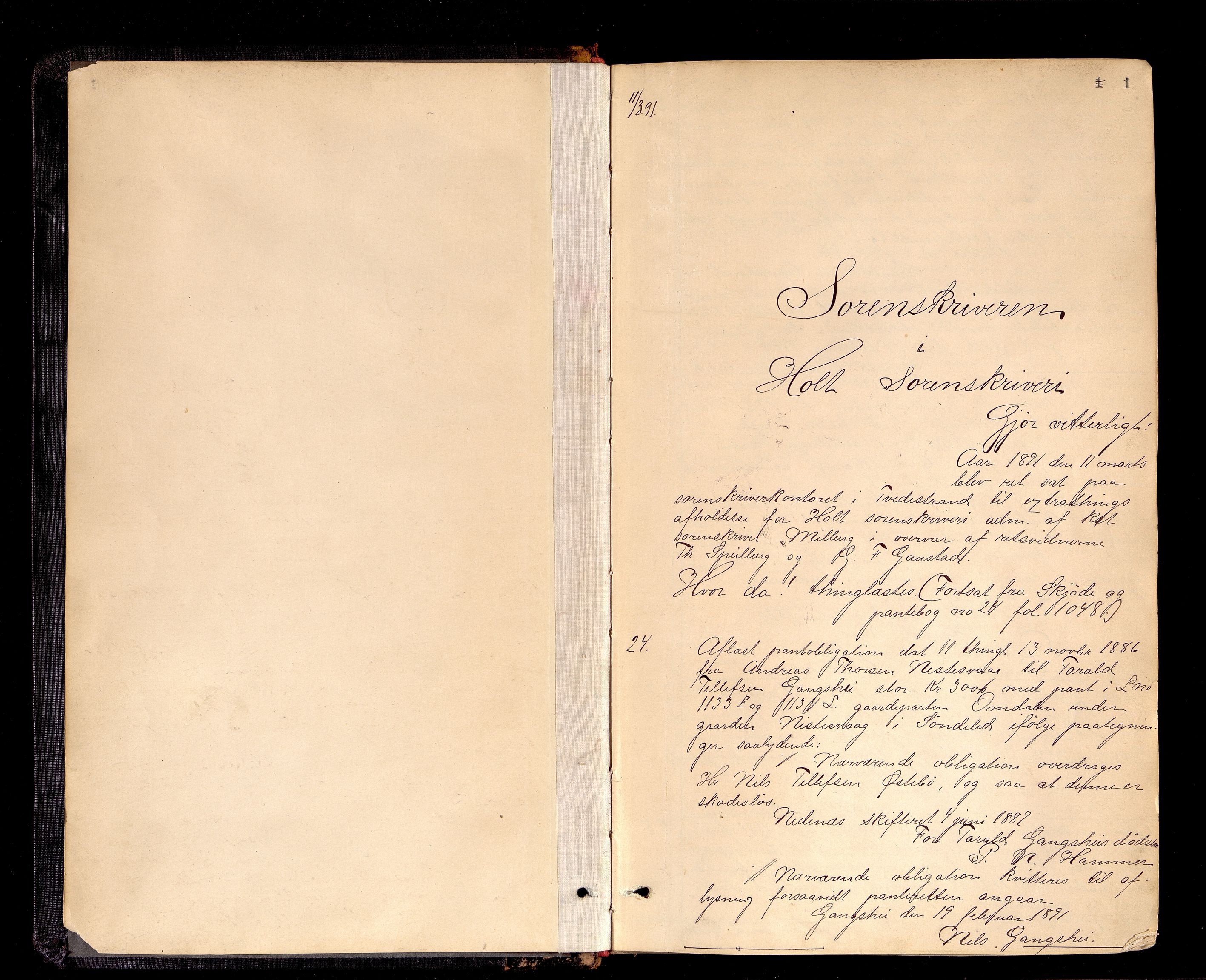 Holt sorenskriveri, SAK/1221-0002/G/Gba/L0025: Pantebok nr. 25, 1891-1894, s. 1