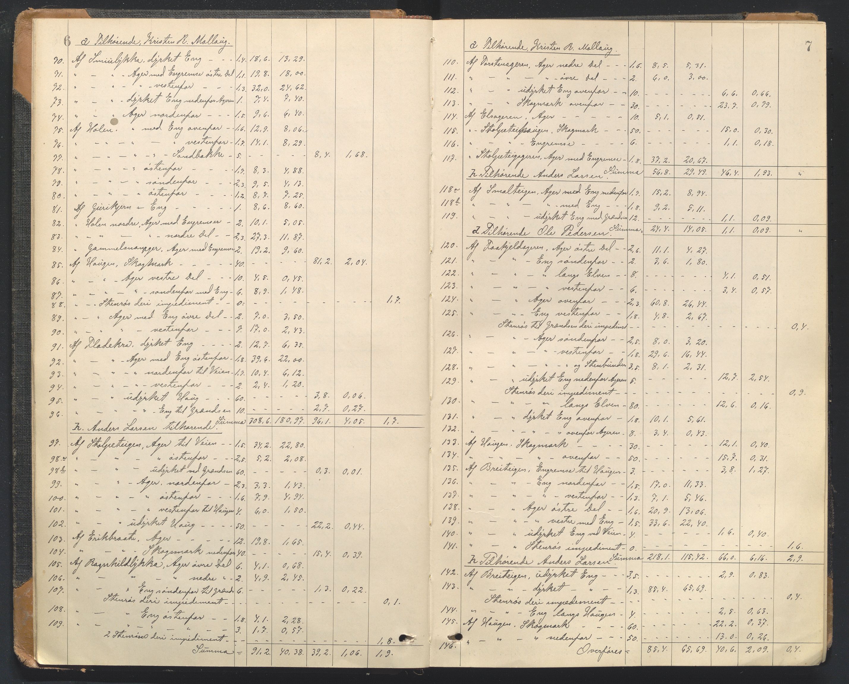 Utskiftningsformannen i Oppland fylke, AV/SAH-JORDSKIFTEO-001/G/Ga/L0002/0002: Rettsbøker / Rettsbok - protokoll nr. 4, 1898-1904, s. 6-7