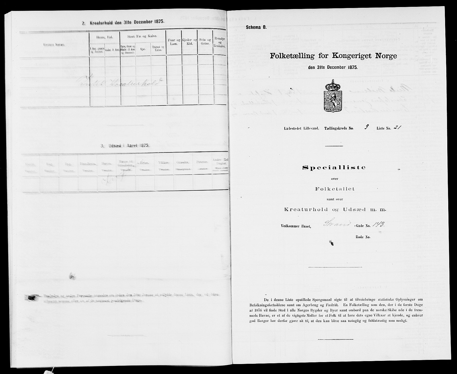 SAK, Folketelling 1875 for 0905B Vestre Moland prestegjeld, Lillesand ladested, 1875, s. 245