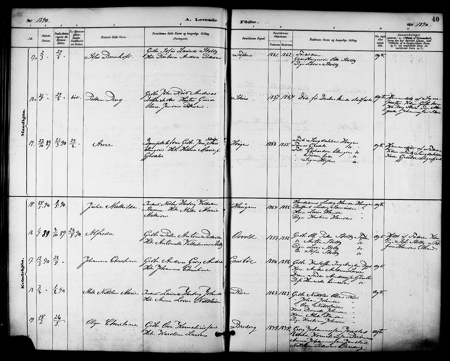 Ministerialprotokoller, klokkerbøker og fødselsregistre - Nordland, AV/SAT-A-1459/895/L1371: Ministerialbok nr. 895A06, 1885-1894, s. 40