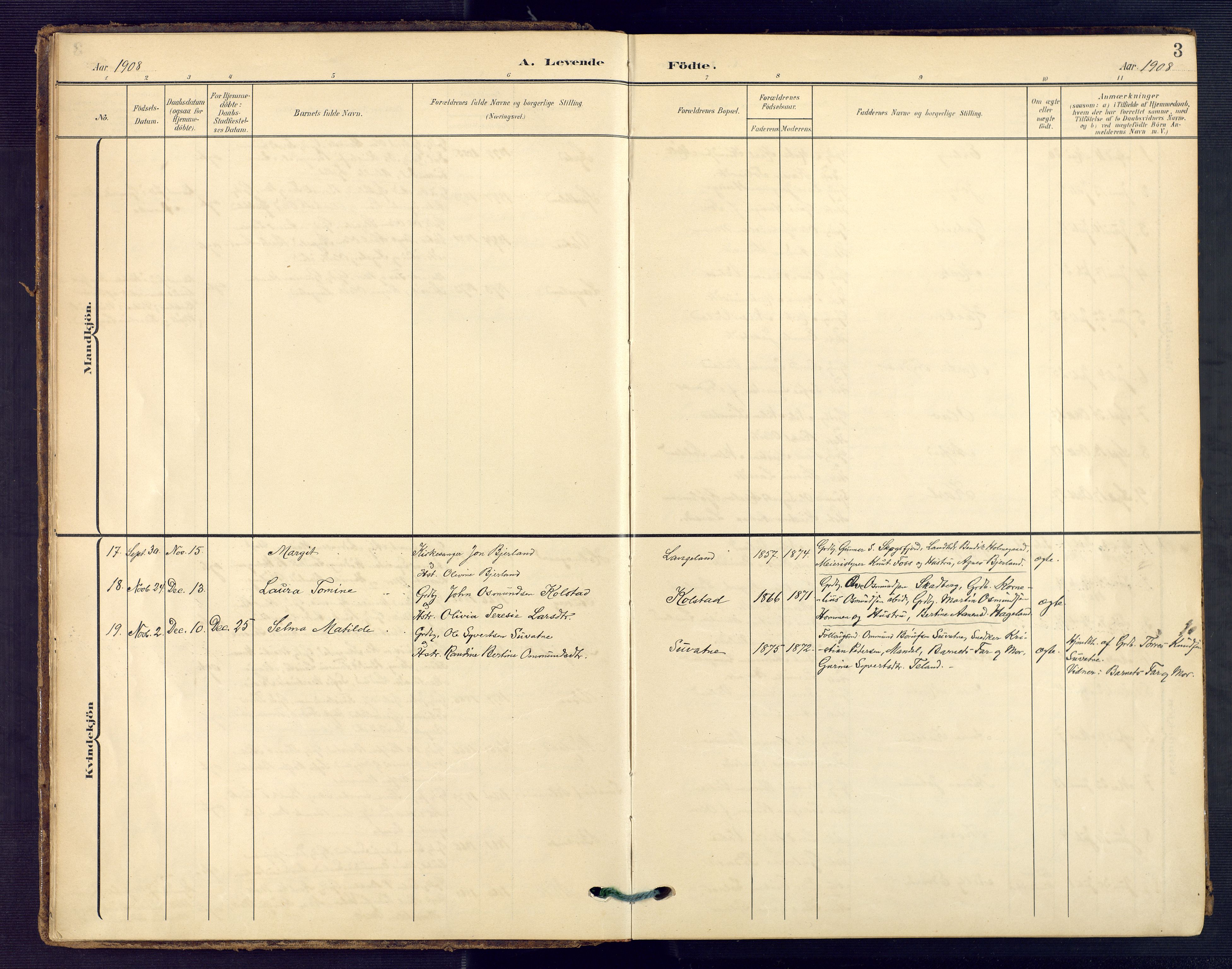 Holum sokneprestkontor, SAK/1111-0022/F/Fa/Faa/L0008: Ministerialbok nr. A 8, 1908-1929, s. 3