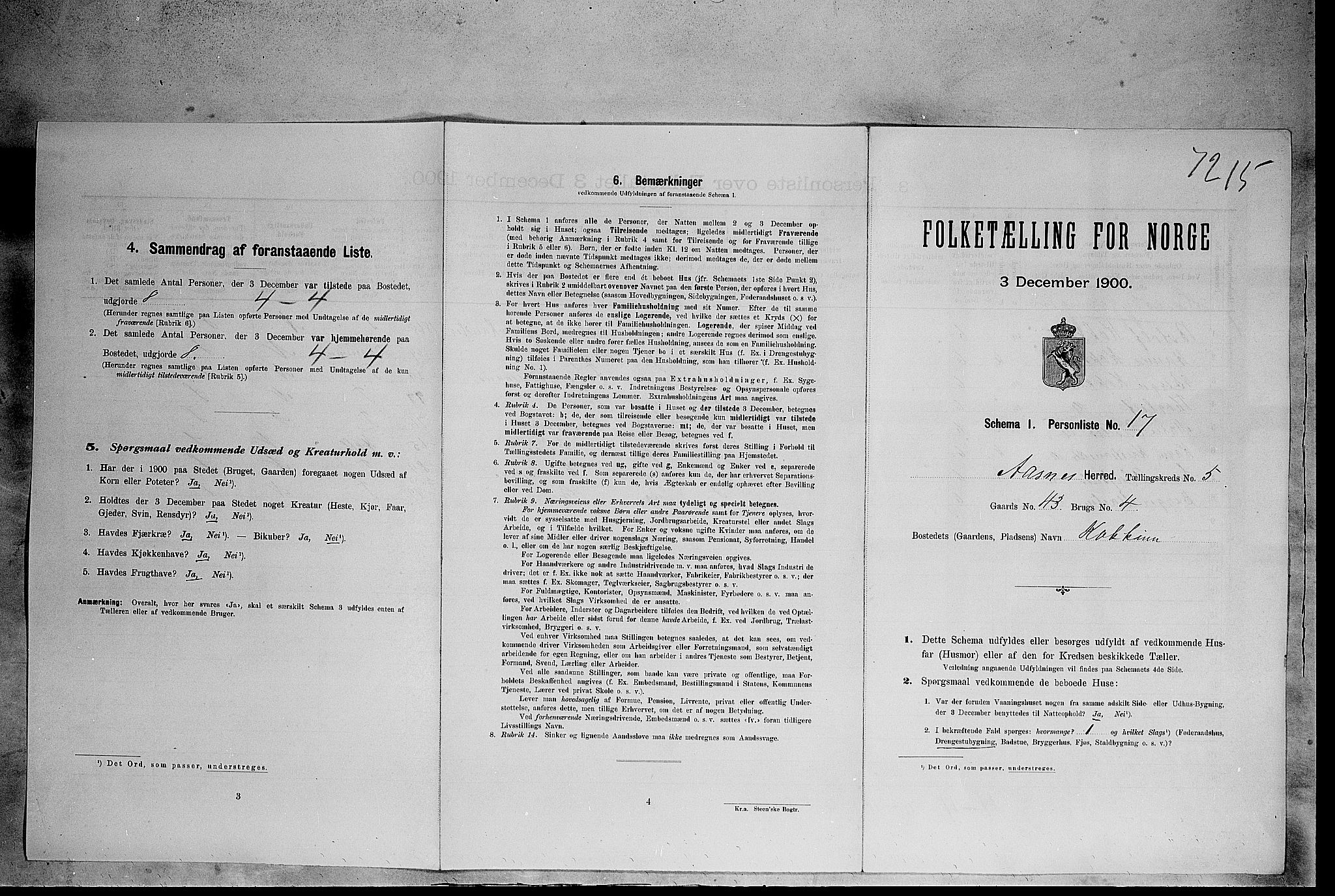 SAH, Folketelling 1900 for 0425 Åsnes herred, 1900, s. 885