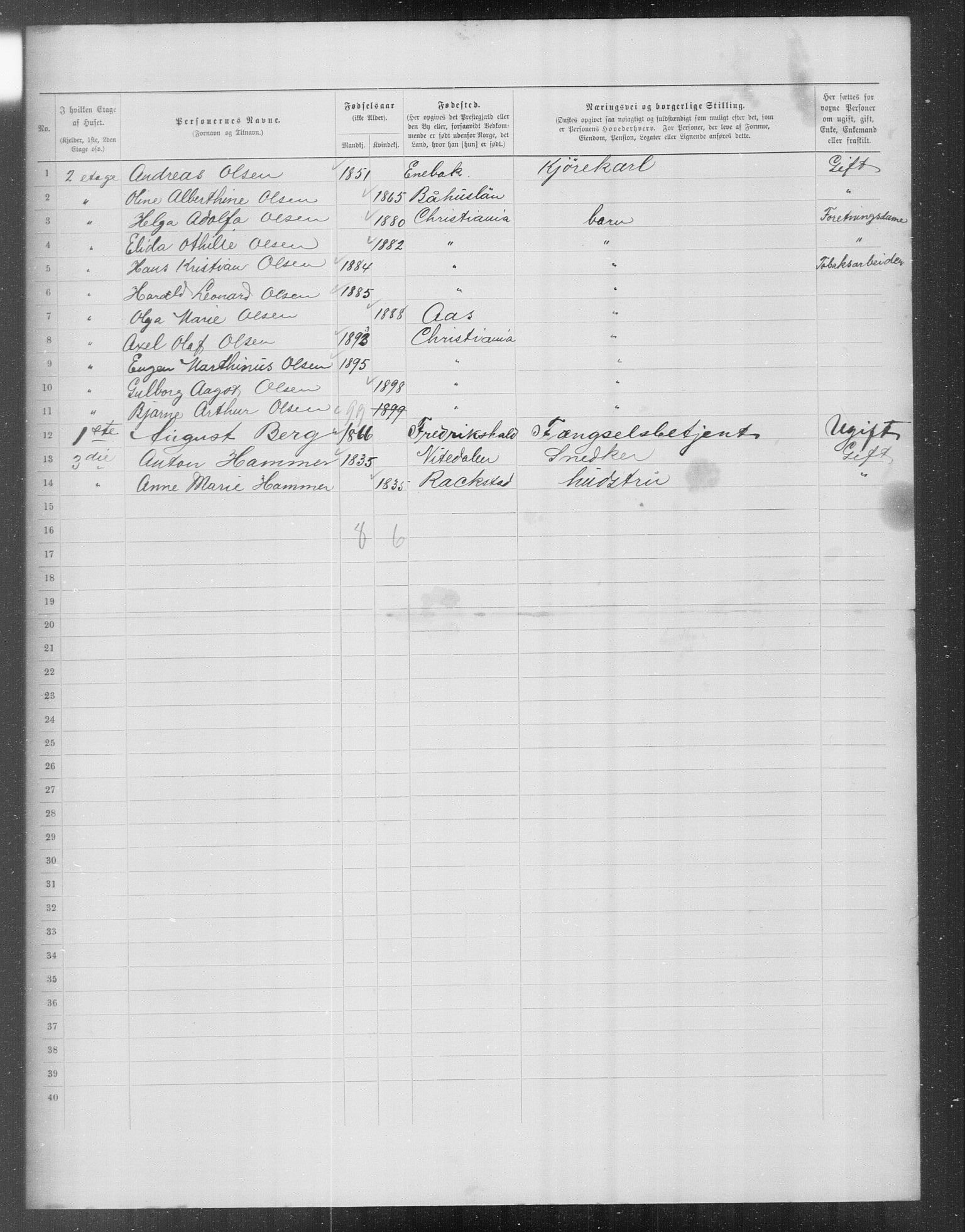 OBA, Kommunal folketelling 31.12.1899 for Kristiania kjøpstad, 1899, s. 13289