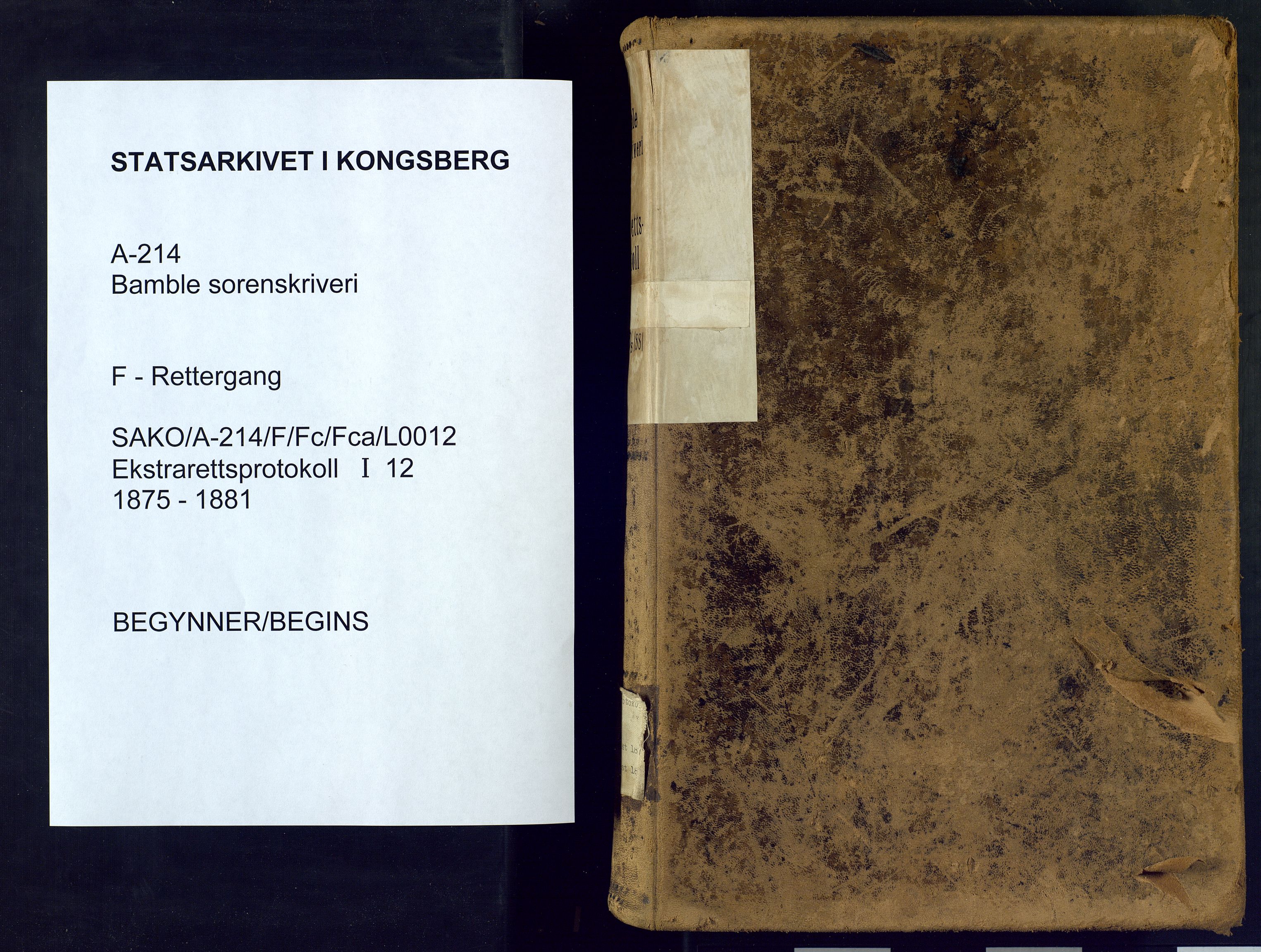 Bamble sorenskriveri, SAKO/A-214/F/Fc/Fca/L0012: Ekstrarettsprotokoll, 1875-1881
