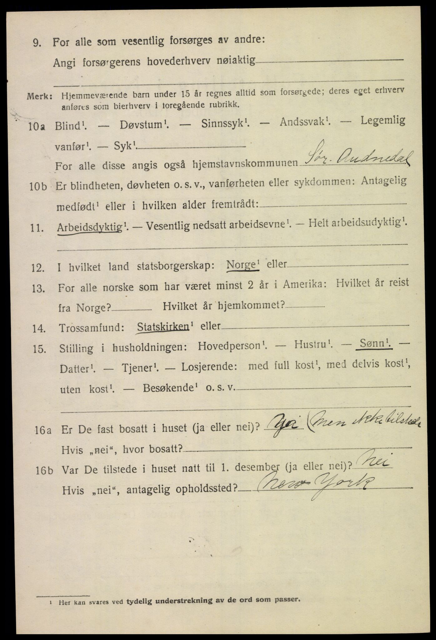 SAK, Folketelling 1920 for 1029 Sør-Audnedal herred, 1920, s. 2636