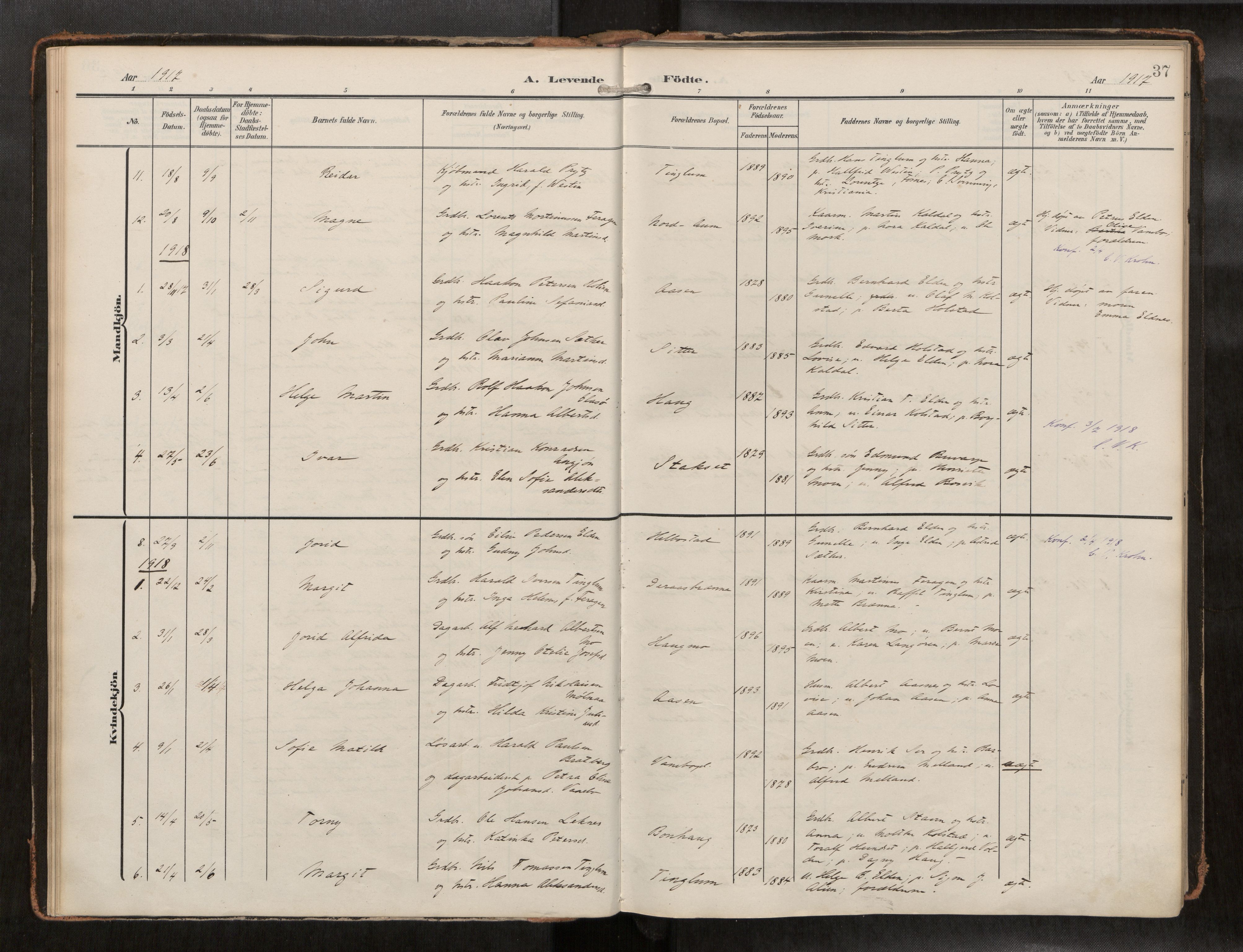 Ministerialprotokoller, klokkerbøker og fødselsregistre - Nord-Trøndelag, SAT/A-1458/742/L0409a: Ministerialbok nr. 742A03, 1906-1924, s. 37