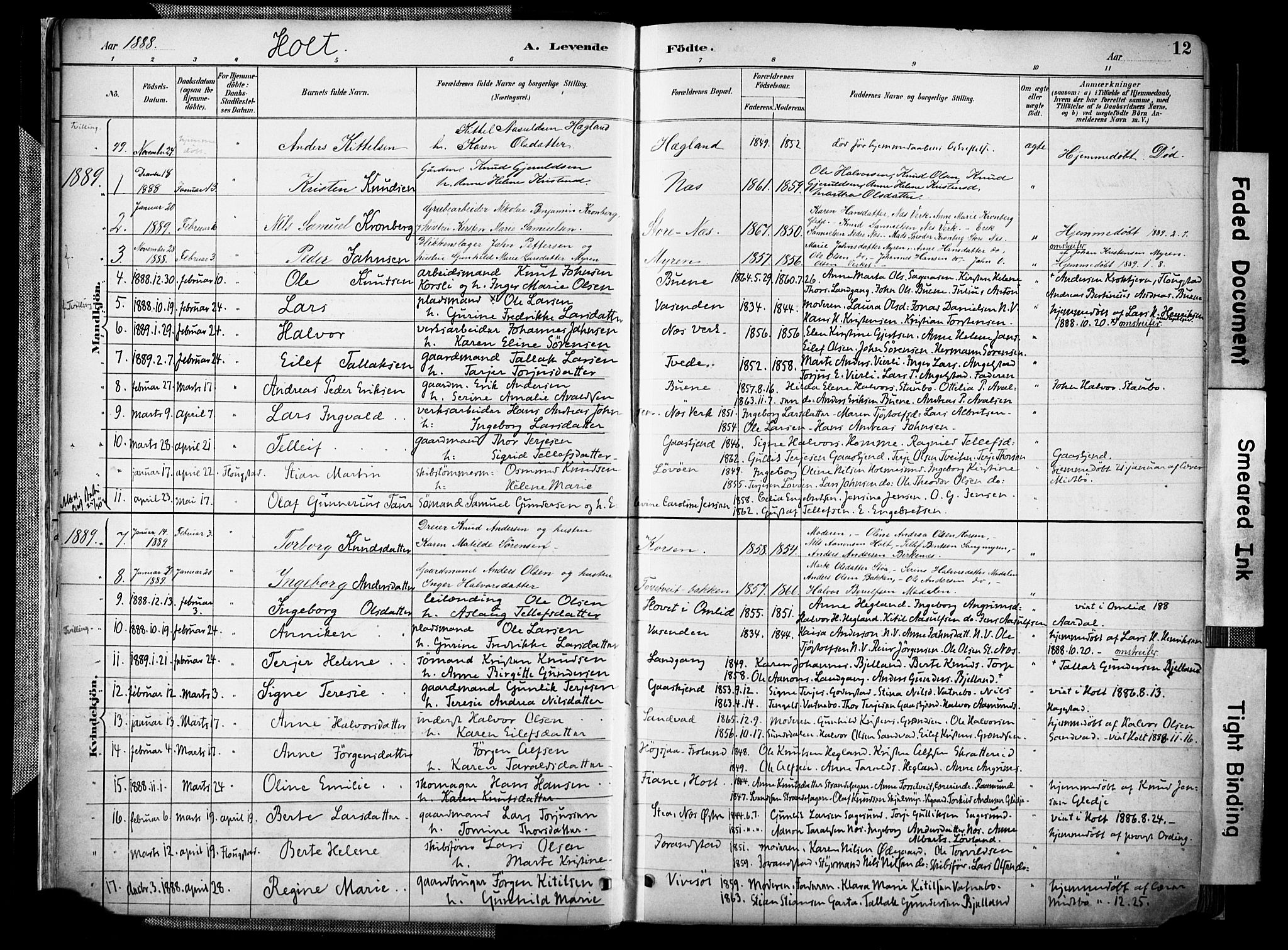 Holt sokneprestkontor, AV/SAK-1111-0021/F/Fa/L0012: Ministerialbok nr. A 12, 1885-1907, s. 12