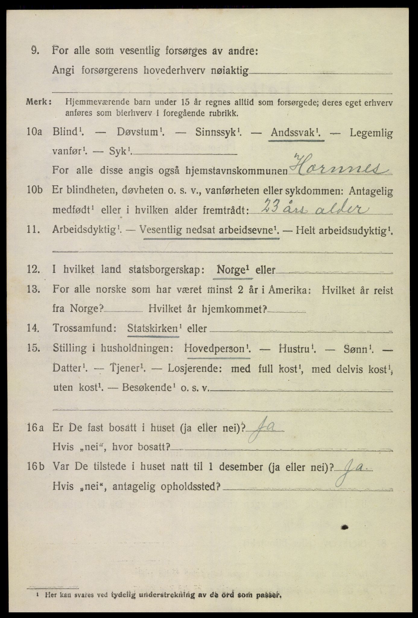 SAK, Folketelling 1920 for 0936 Hornnes herred, 1920, s. 1746
