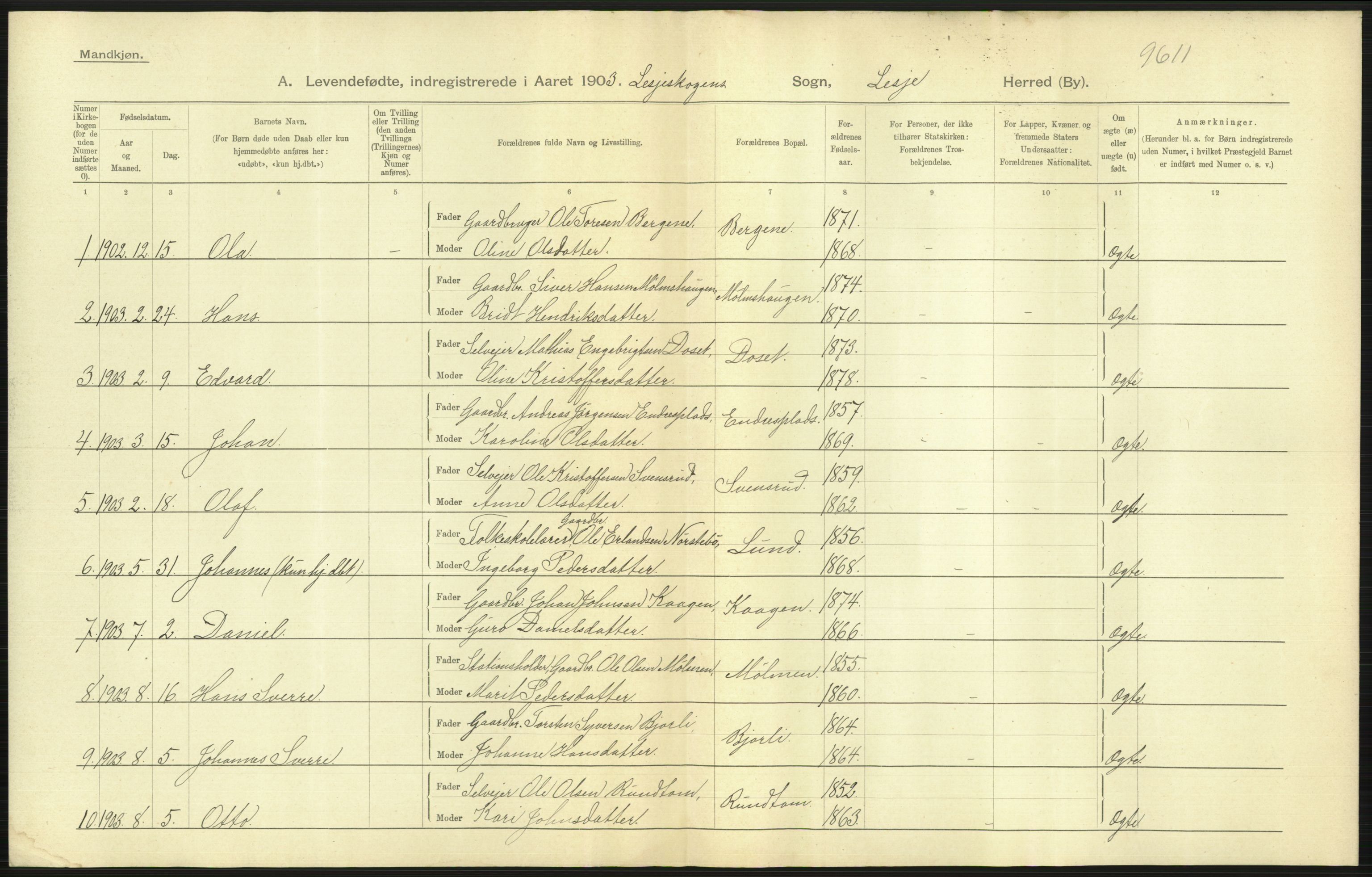 Statistisk sentralbyrå, Sosiodemografiske emner, Befolkning, AV/RA-S-2228/D/Df/Dfa/Dfaa/L0006: Kristians amt: Fødte, gifte, døde, 1903, s. 13