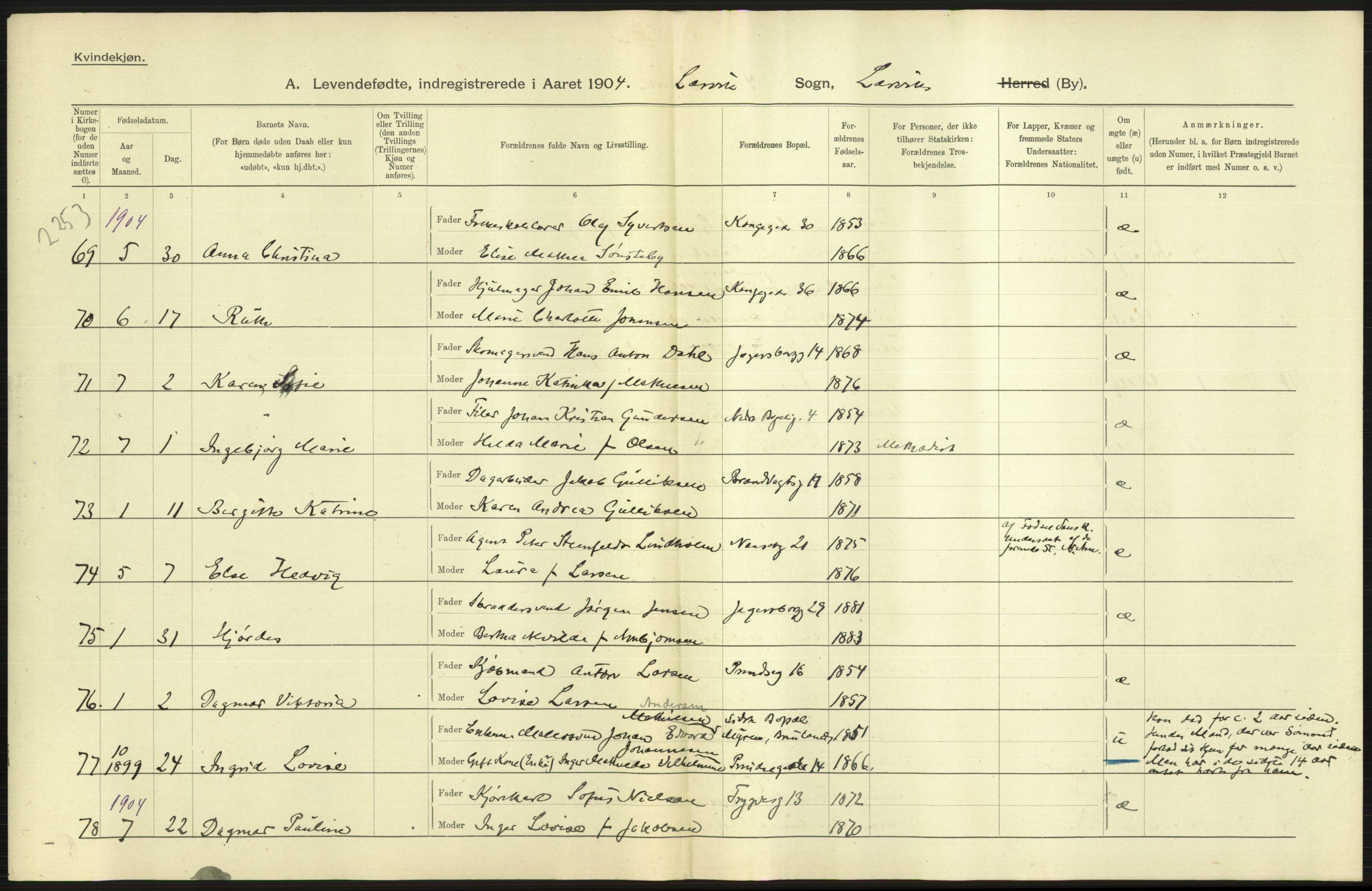 Statistisk sentralbyrå, Sosiodemografiske emner, Befolkning, AV/RA-S-2228/D/Df/Dfa/Dfab/L0008: Jarlsberg og Larvig amt: Fødte, gifte, døde, 1904, s. 271