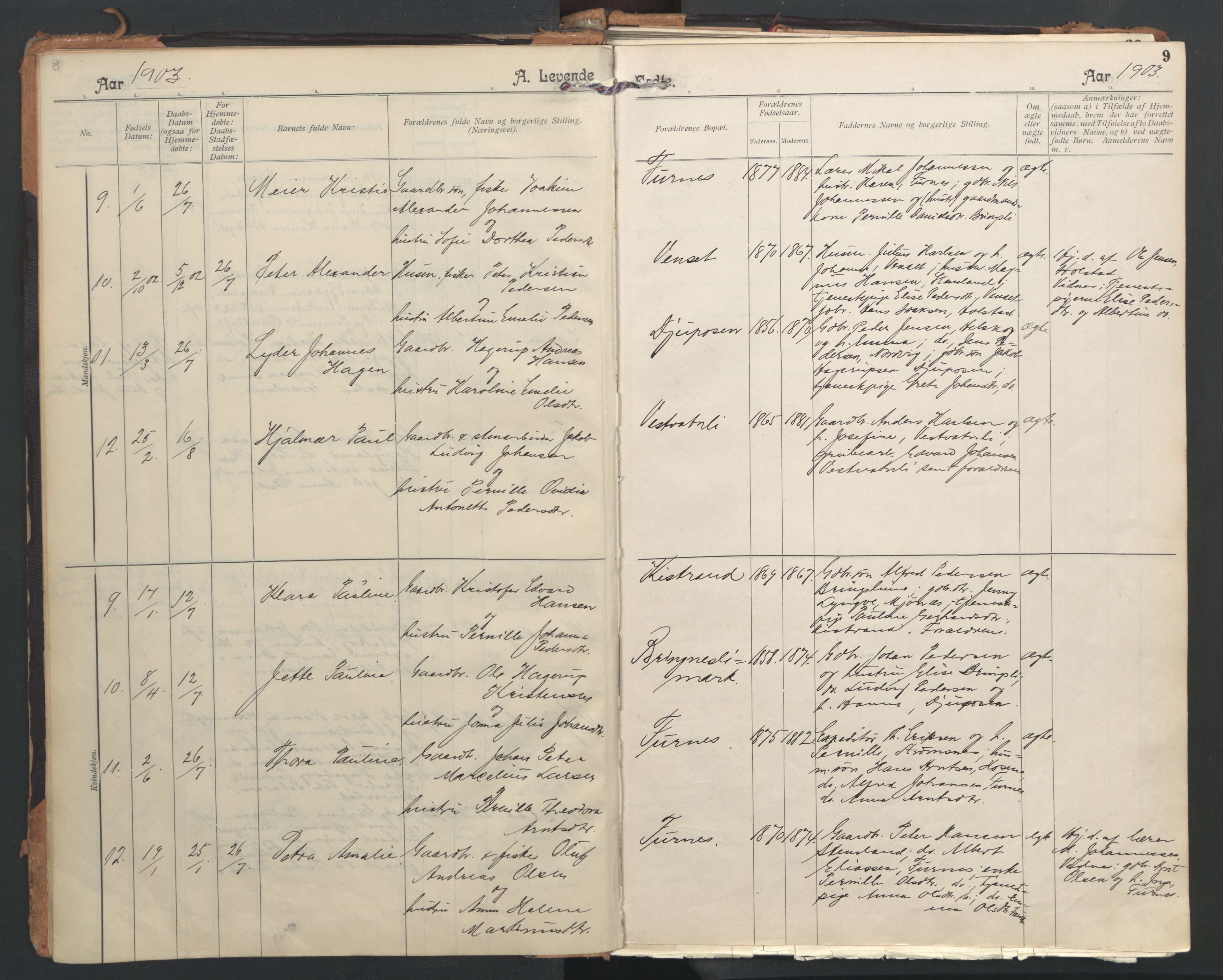 Ministerialprotokoller, klokkerbøker og fødselsregistre - Nordland, AV/SAT-A-1459/851/L0724: Ministerialbok nr. 851A01, 1901-1922, s. 9
