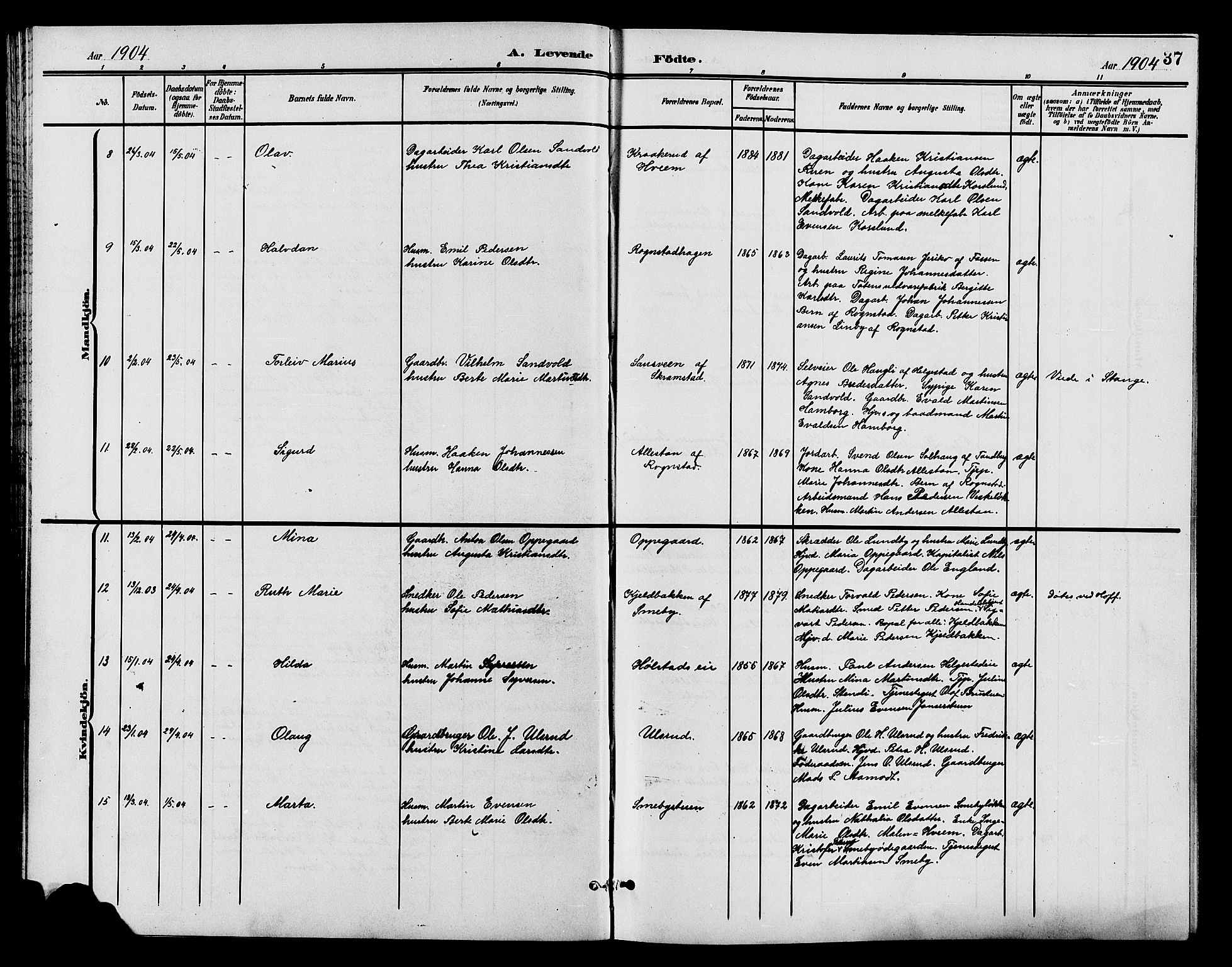 Østre Toten prestekontor, AV/SAH-PREST-104/H/Ha/Hab/L0007: Klokkerbok nr. 7, 1901-1912, s. 37