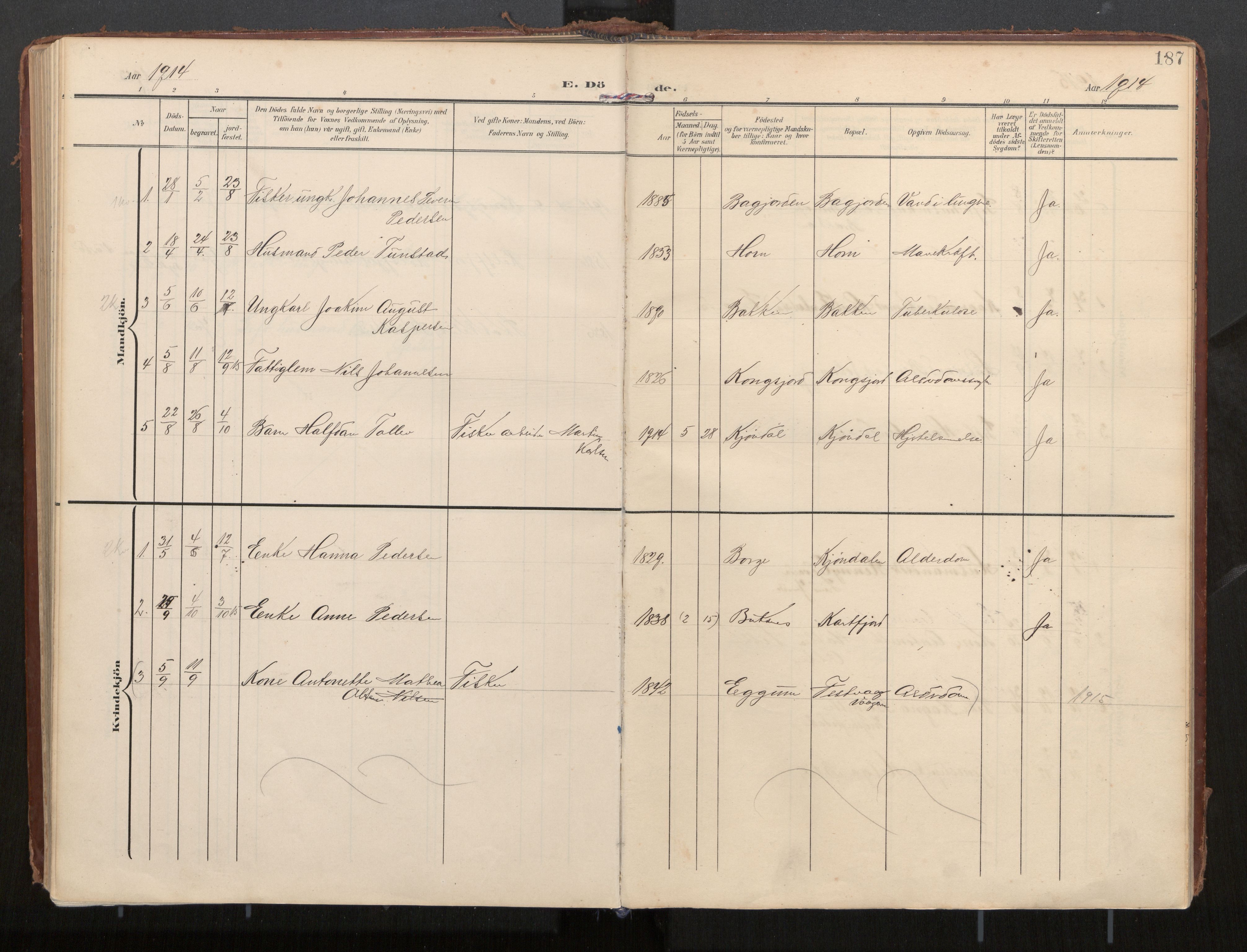 Ministerialprotokoller, klokkerbøker og fødselsregistre - Nordland, AV/SAT-A-1459/884/L1194: Ministerialbok nr. 884A02, 1906-1937, s. 188