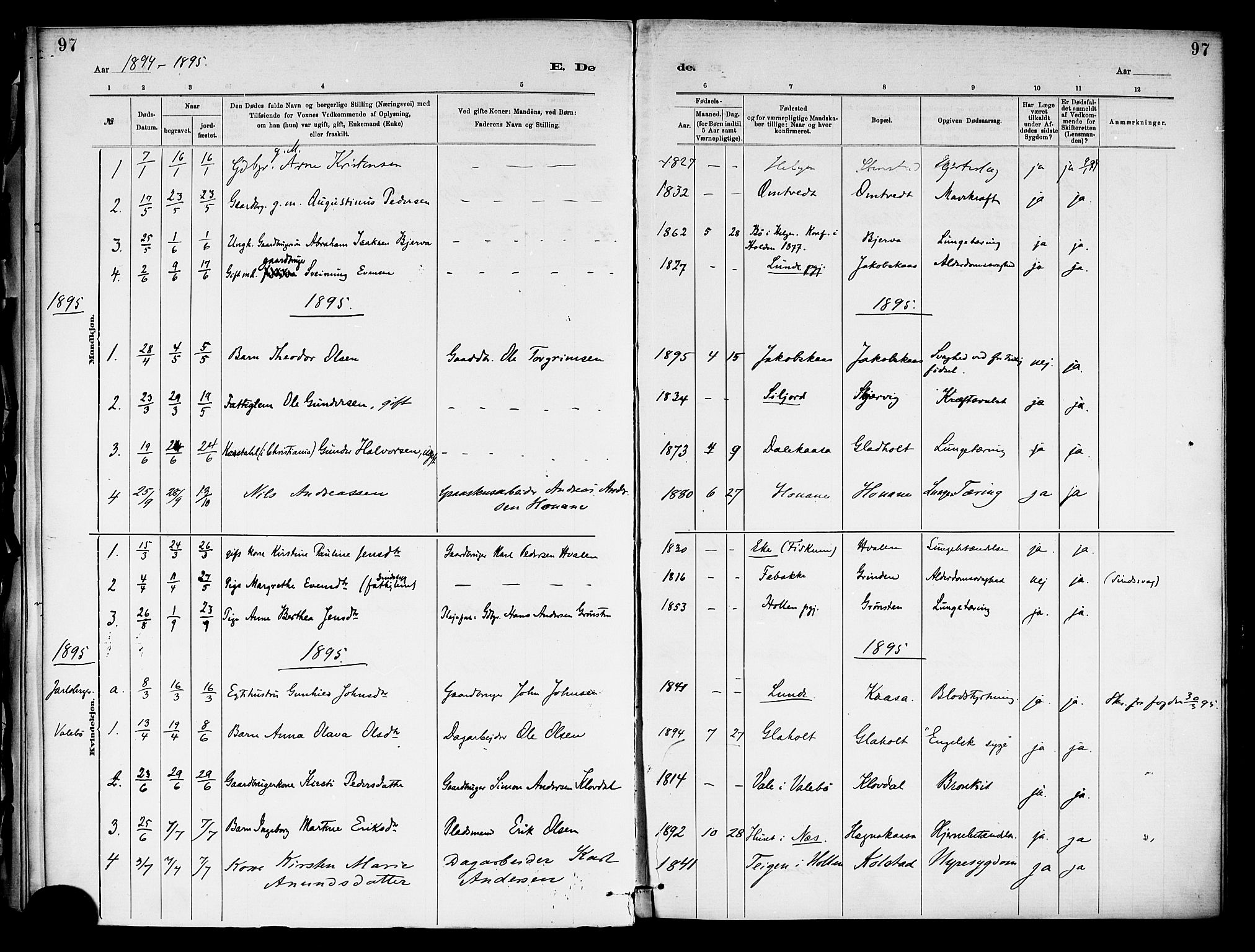 Holla kirkebøker, AV/SAKO-A-272/F/Fa/L0009: Ministerialbok nr. 9, 1881-1897, s. 97