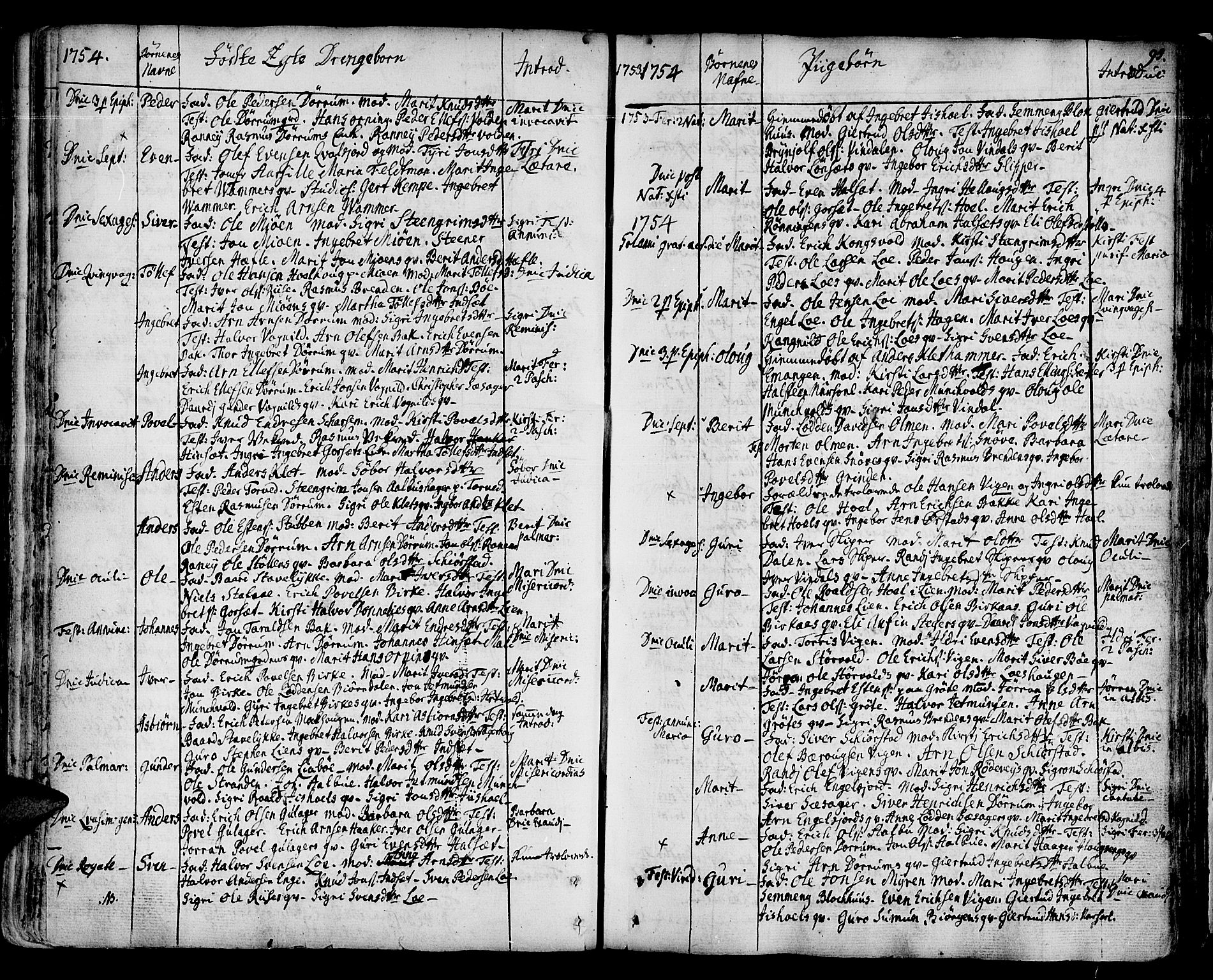 Ministerialprotokoller, klokkerbøker og fødselsregistre - Sør-Trøndelag, SAT/A-1456/678/L0891: Ministerialbok nr. 678A01, 1739-1780, s. 95