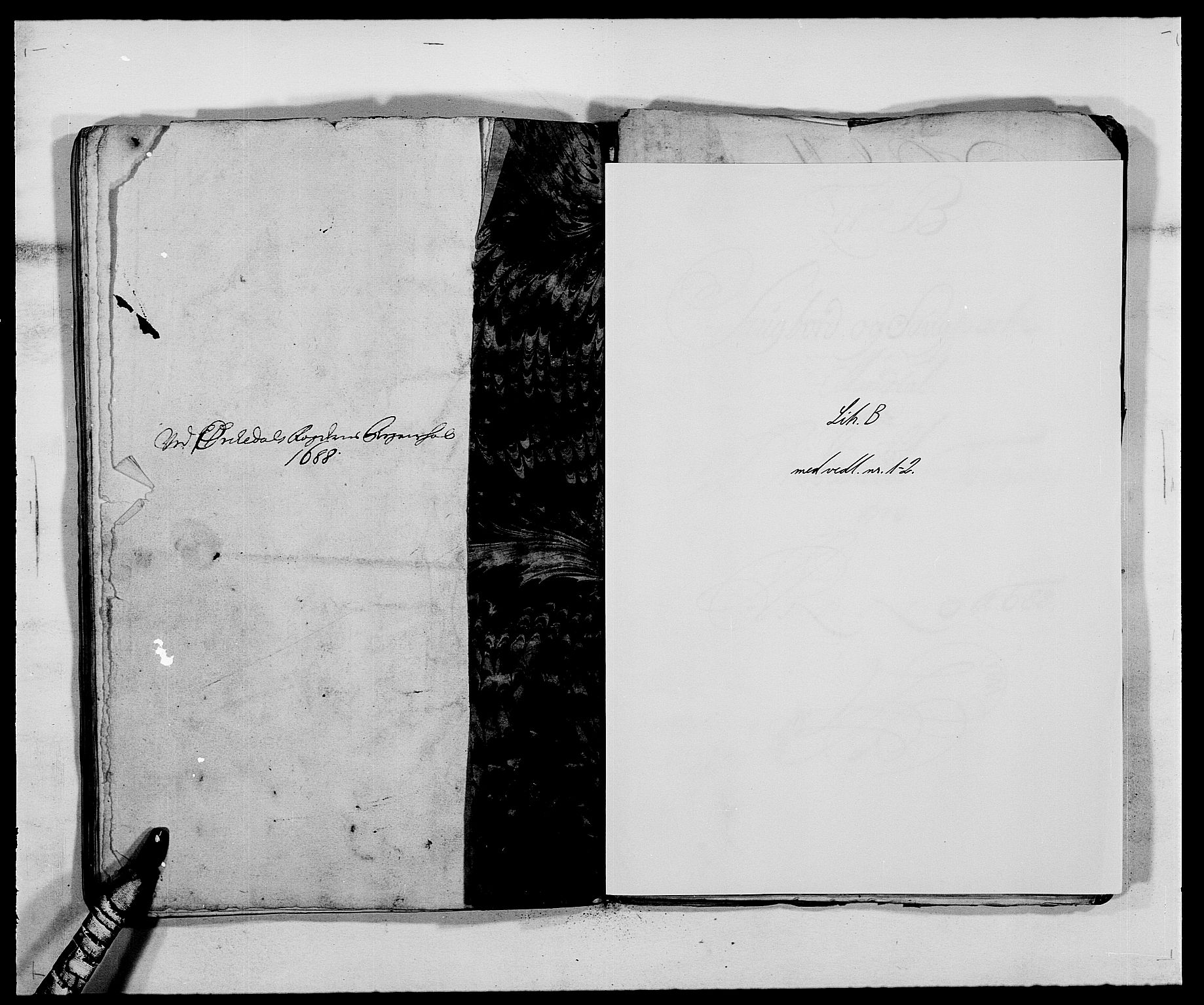 Rentekammeret inntil 1814, Reviderte regnskaper, Fogderegnskap, AV/RA-EA-4092/R58/L3935: Fogderegnskap Orkdal, 1687-1688, s. 251