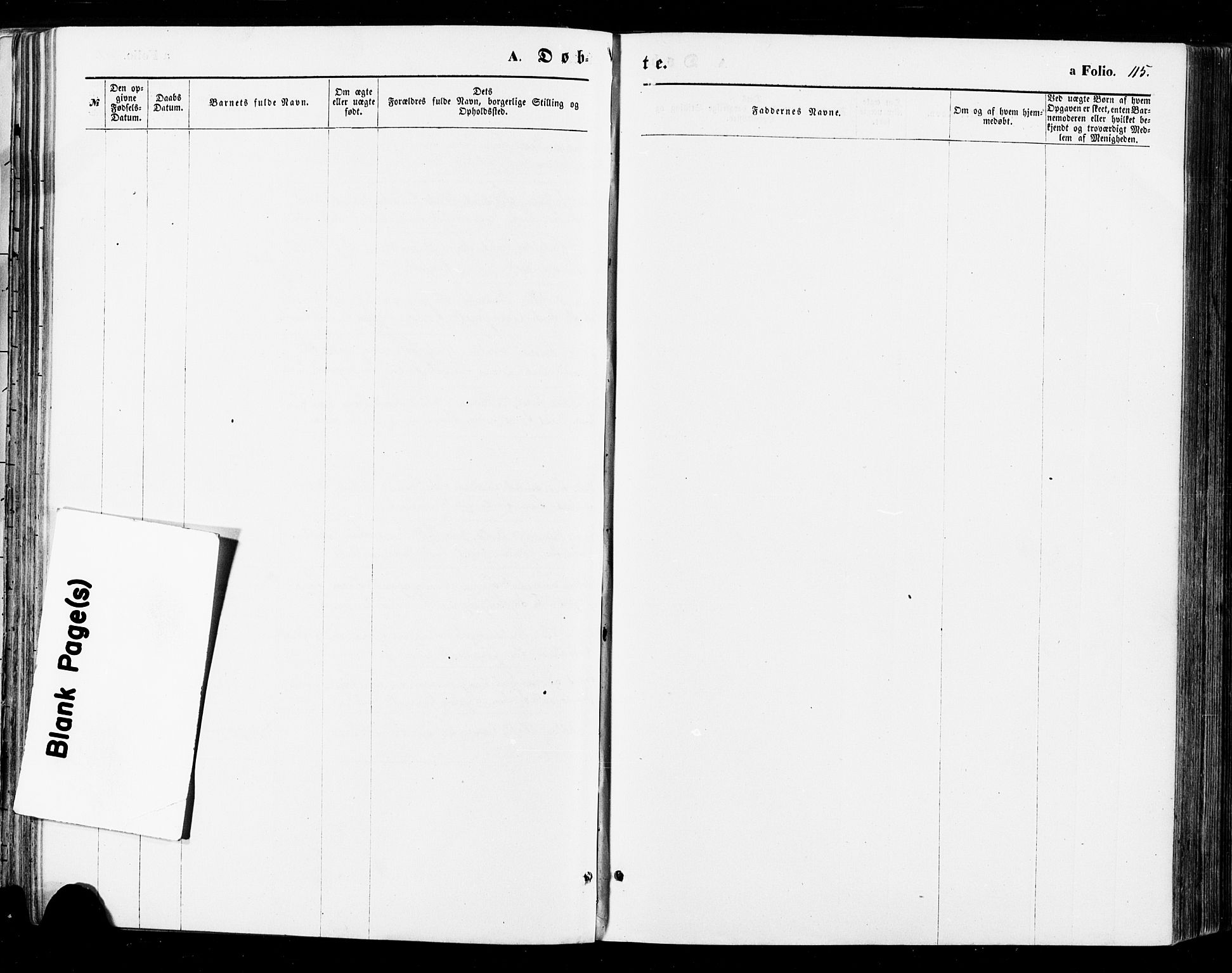 Sirdal sokneprestkontor, AV/SAK-1111-0036/F/Fa/Fab/L0003: Ministerialbok nr. A 3, 1874-1886, s. 115