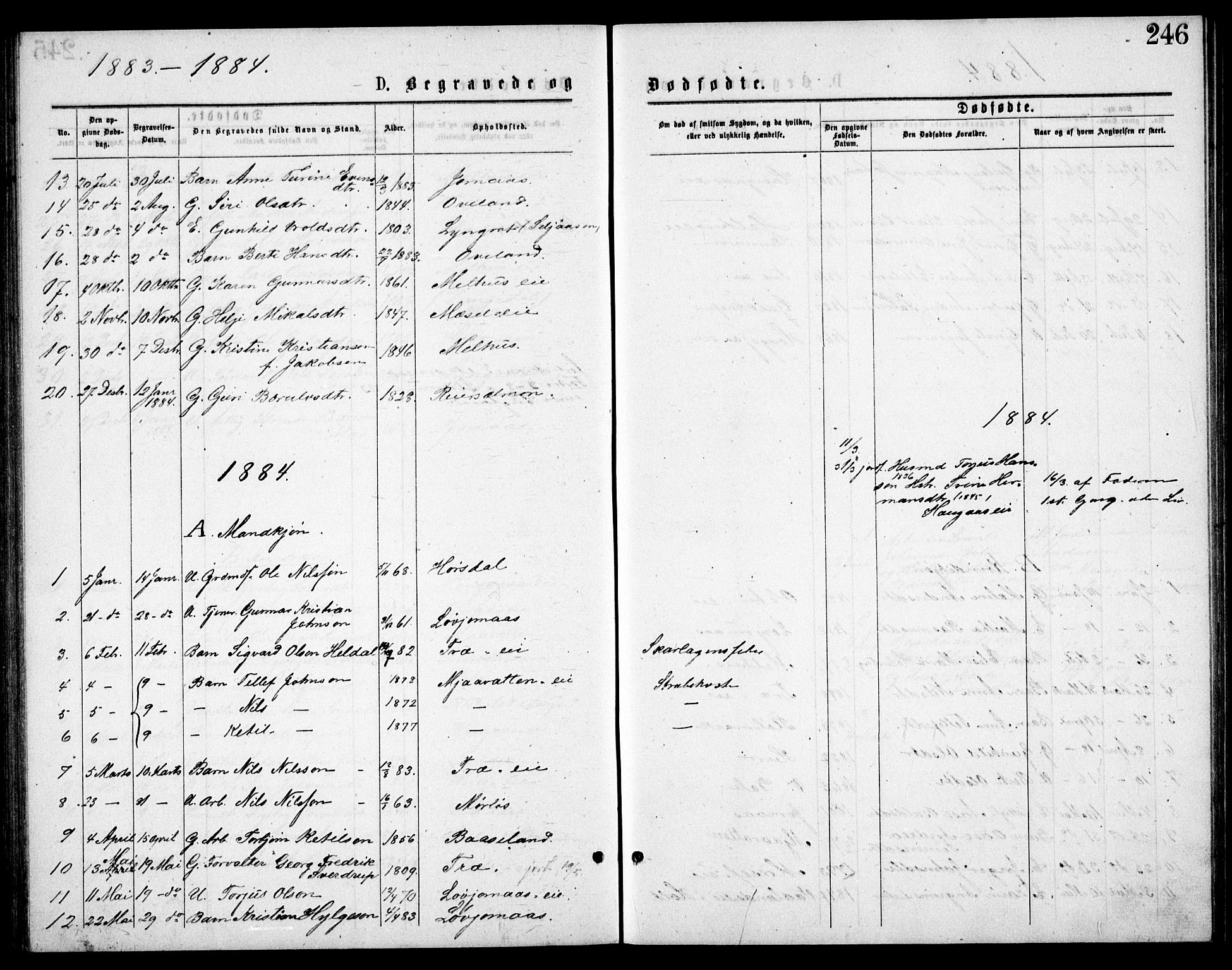 Froland sokneprestkontor, AV/SAK-1111-0013/F/Fb/L0009: Klokkerbok nr. B 9, 1875-1893, s. 246