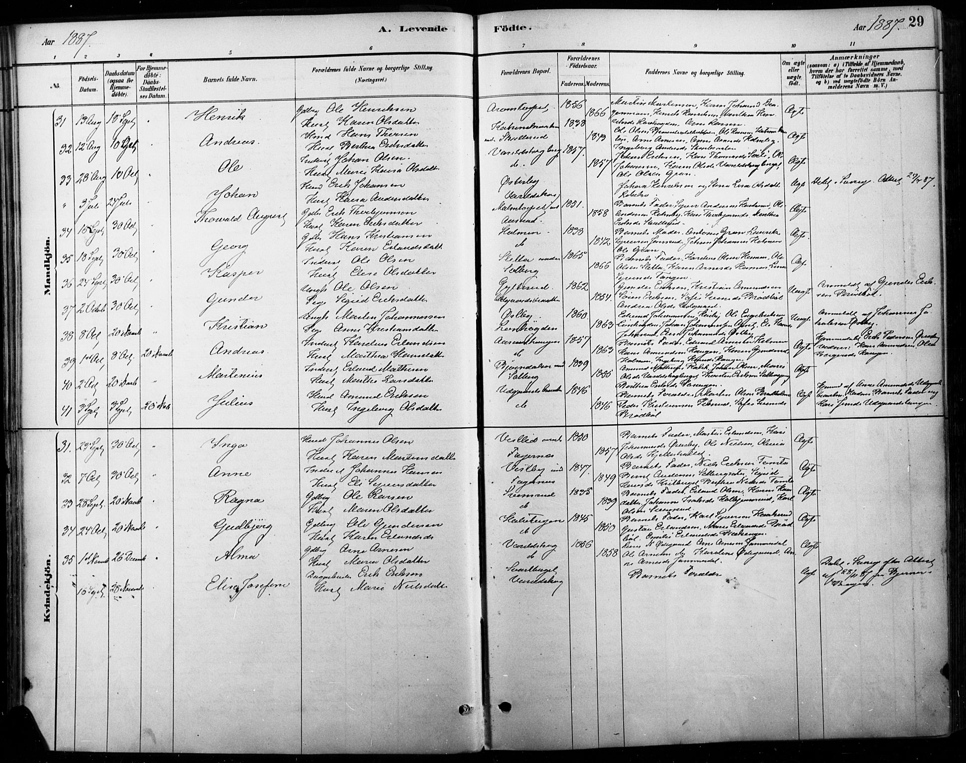 Vinger prestekontor, AV/SAH-PREST-024/H/Ha/Haa/L0015: Ministerialbok nr. 15, 1881-1900, s. 29