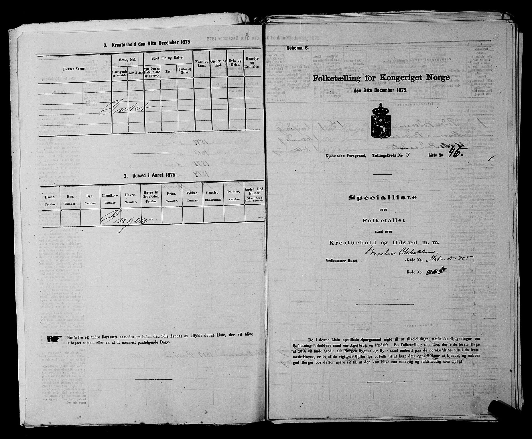 SAKO, Folketelling 1875 for 0805P Porsgrunn prestegjeld, 1875, s. 129